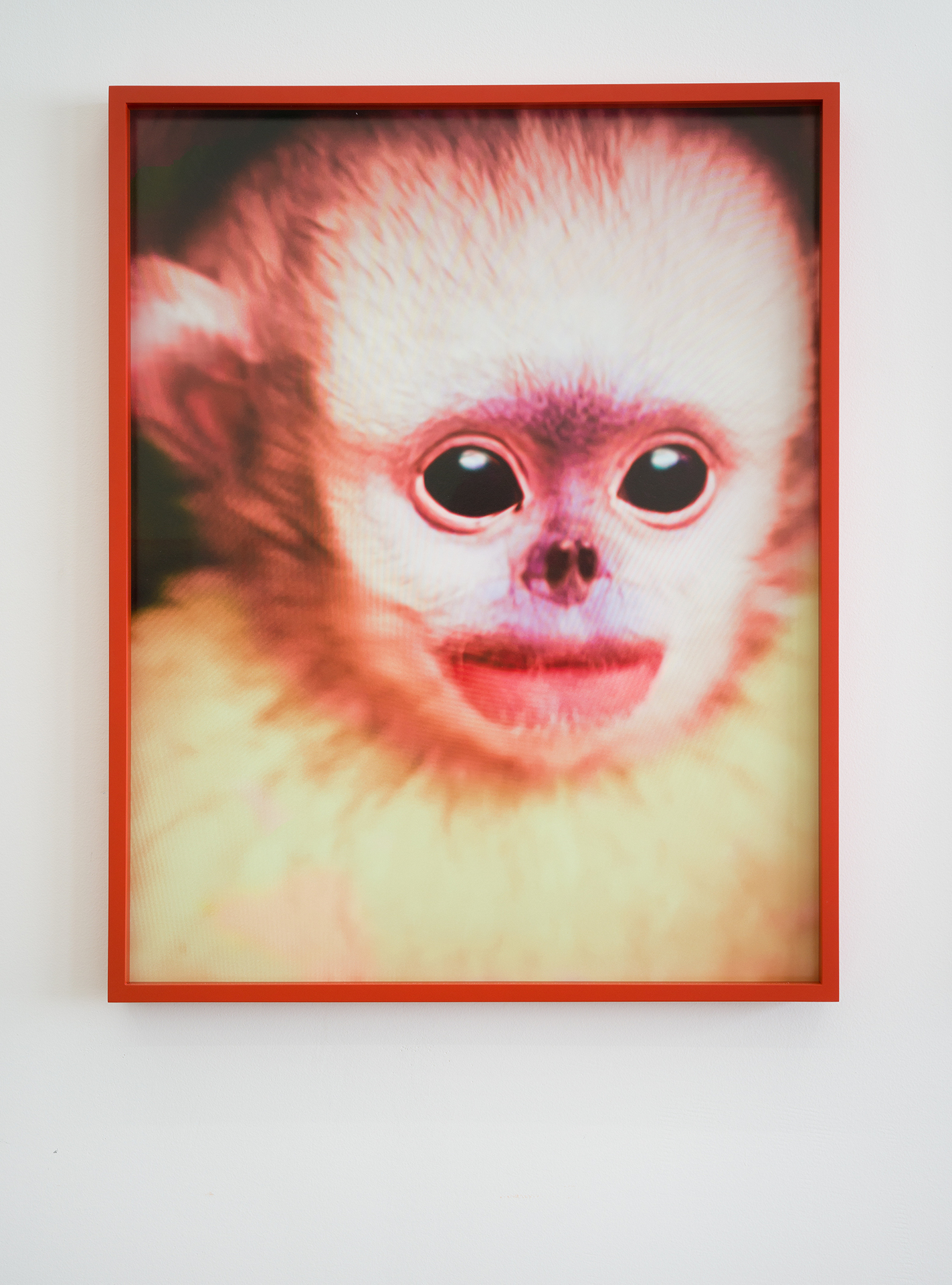 Hertta Kiiski, Friends Forever, 2022 NOON Projects Photo print on Hahnemühle Fine Art Baryta Satin 300gsm, mounted on aluminium. In Artist’s Frame, Beech Vermilion Frame with Museum Glass 31 1⁄2 × 24 1⁄4 In (80.2 × 64.2 cm)