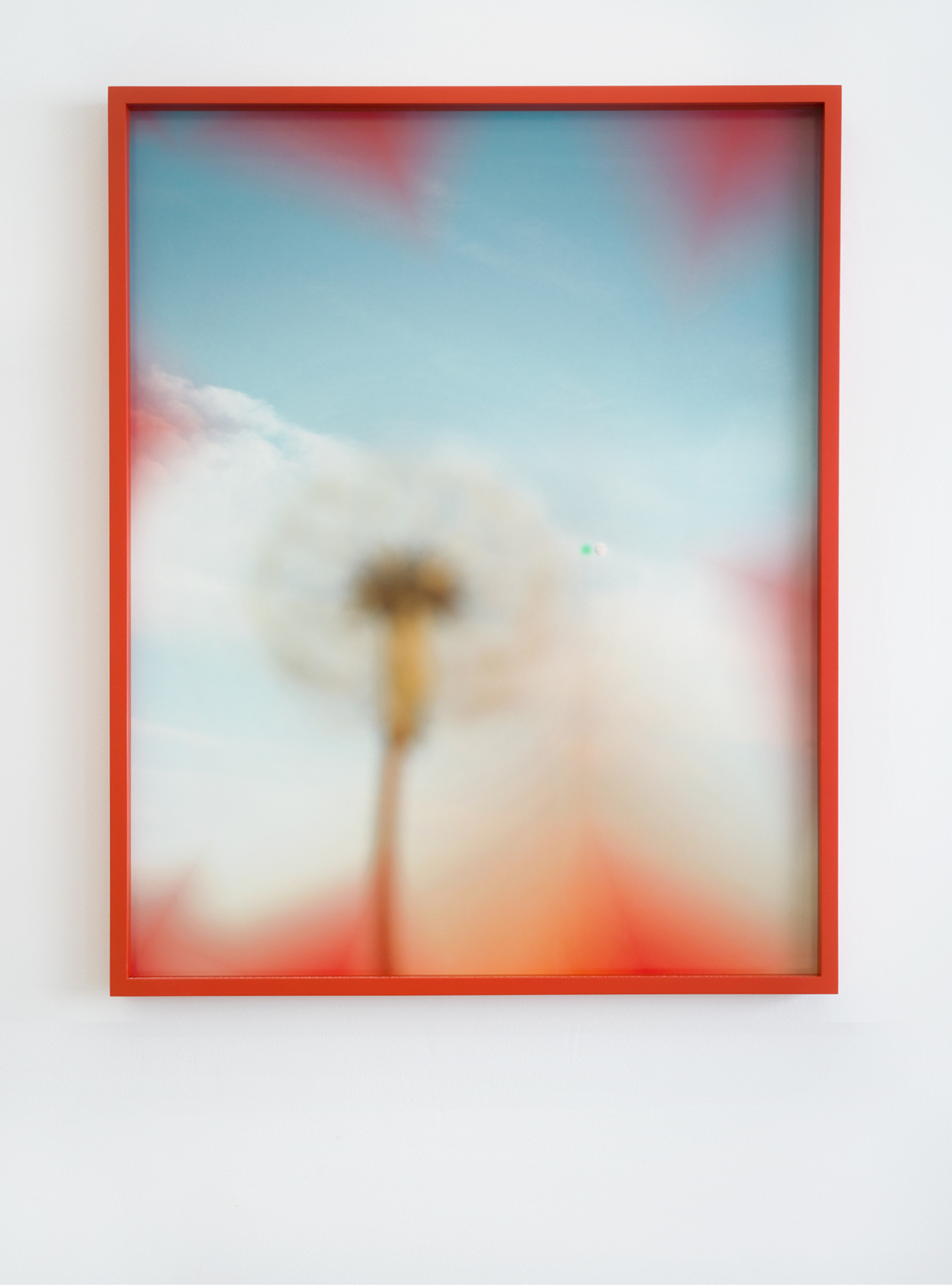 Hertta Kiiski, Dandelion and Moon,  2022 NOON Projects Photo print on Hahnemühle Fine Art Baryta Satin 300gsm, mounted on aluminium. In Artist’s Frame, Beech Vermilion Frame with Museum Glass 31 1⁄2 × 24 1⁄4 In (80.2 × 64.2 cm)