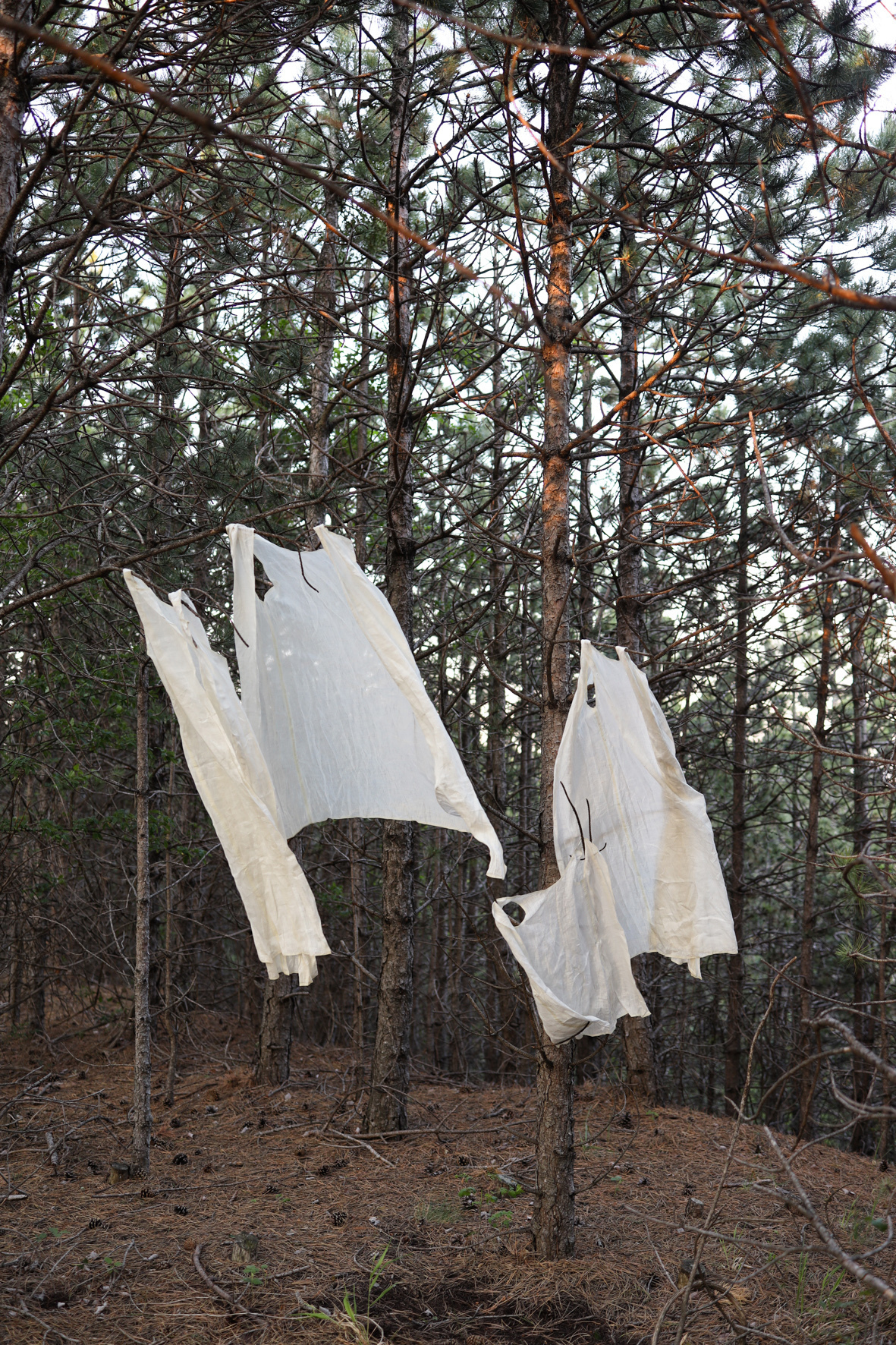 Judith Augustinovič, elas e eu | sie und ich, in progress, 2011-2022,  linen, tape, variable dimensions