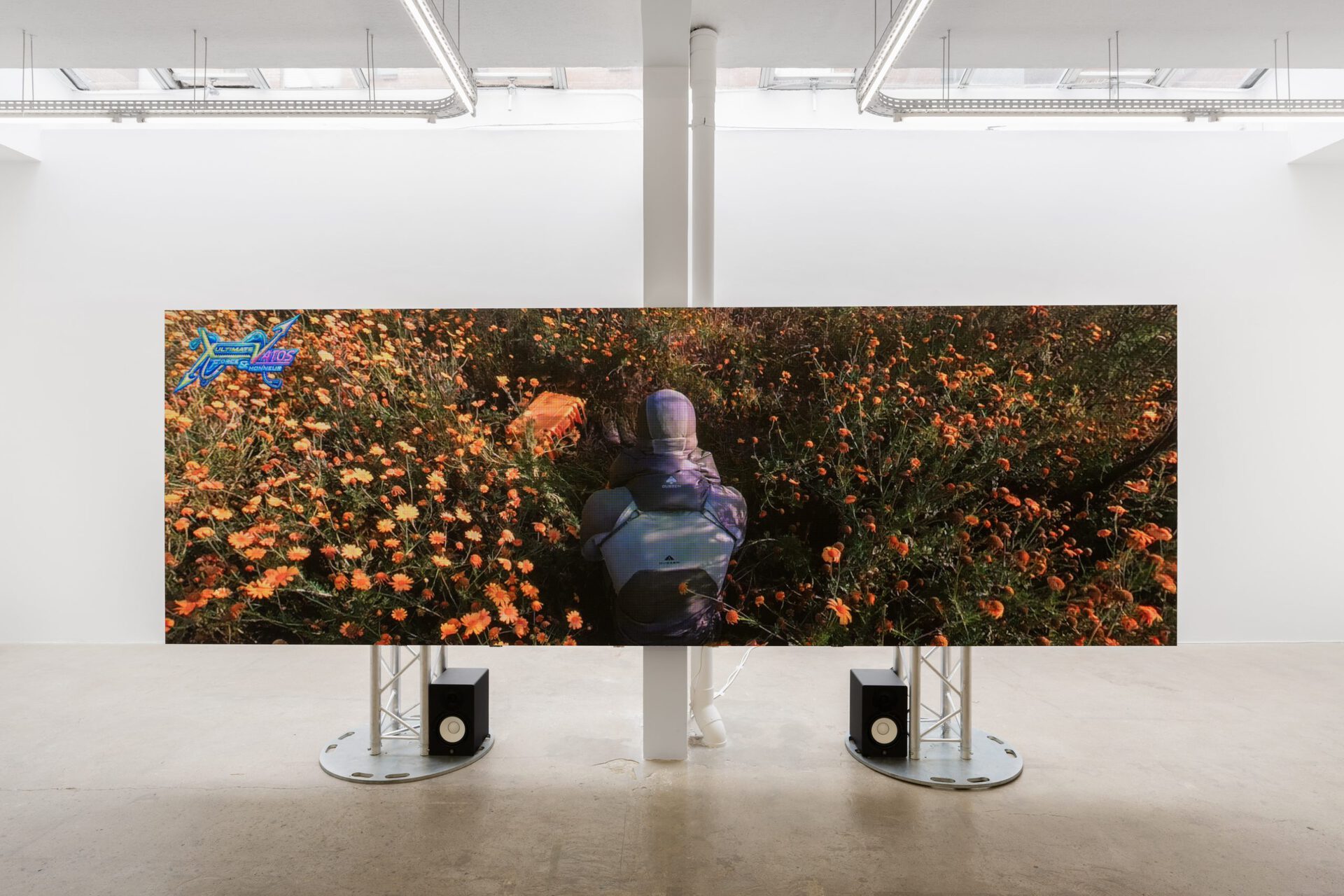 Sara Sadik, Ultimate Vatos, exhibition view, Crèvecœur, Paris, 2022. Courtesy of the artist and Crèvecœur, Paris. Photo: Martin Argyroglo