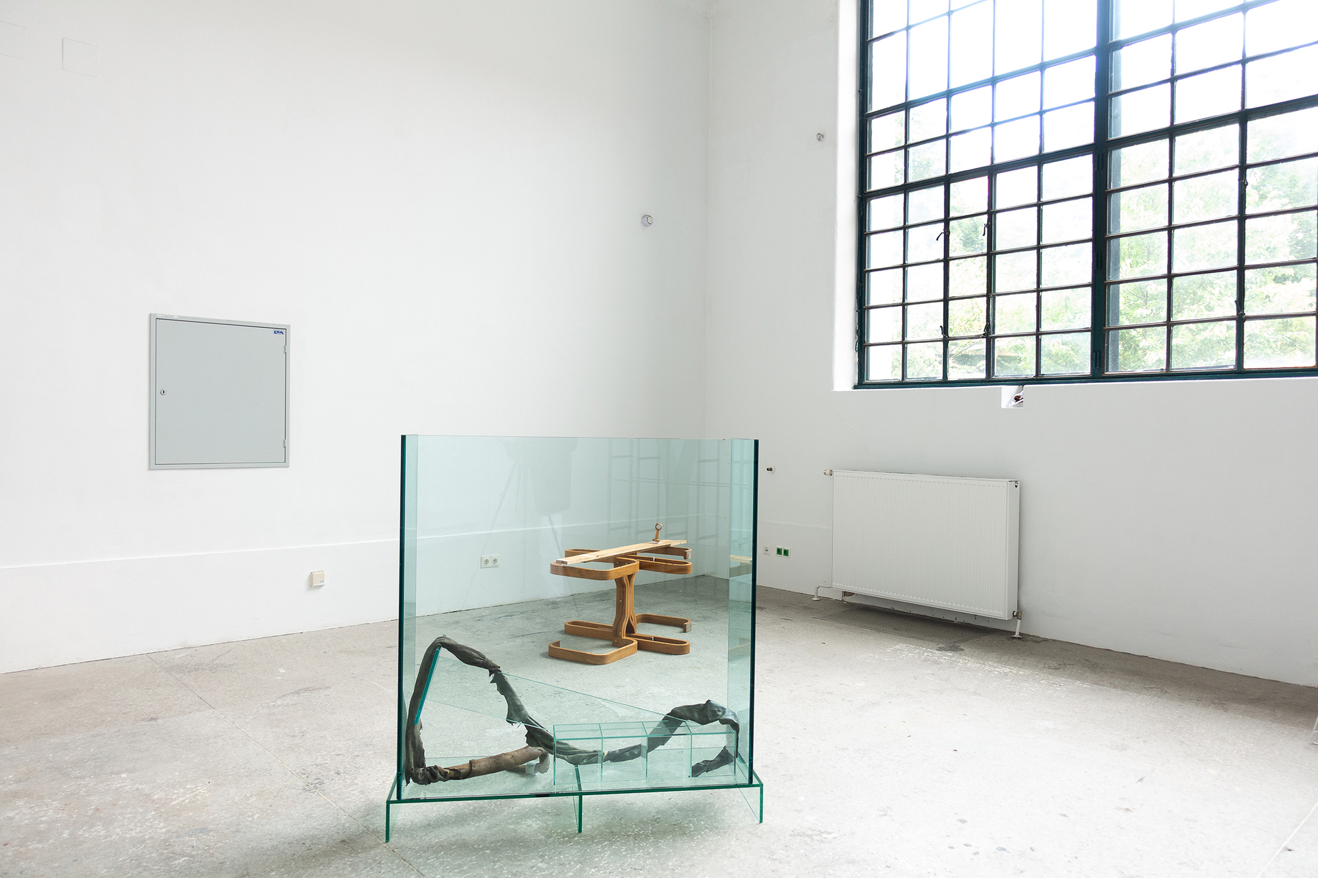 Gleb Amankulov, Rat King + Figure II, 2022, glass, leather, Dimensions variable
