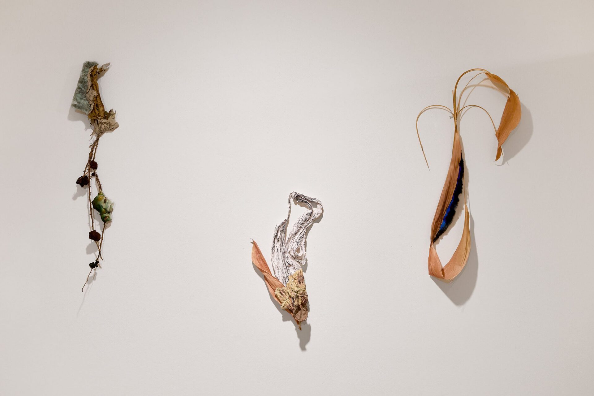 Anna Ročňová, Mowned Gooseberries, installation, 2021