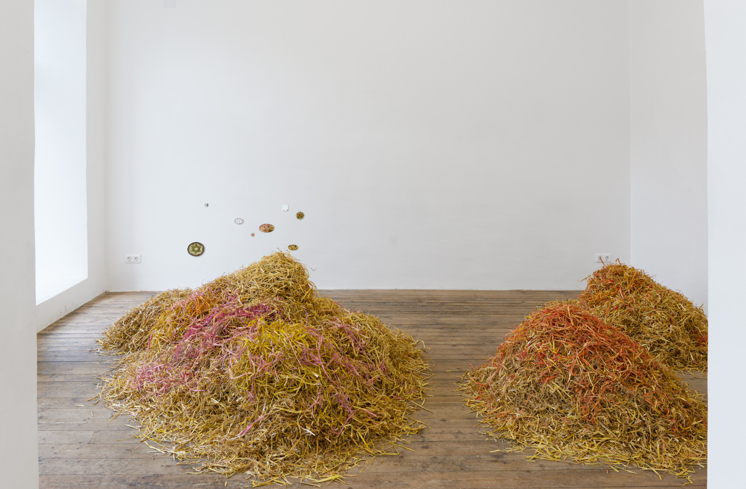 Sveta Mordovskaya, Assholes, installation view, Kevin Space 2022. Photo: Maximilian Anelli-Monti. Courtesy the artist and Weiss Falk, Zurich