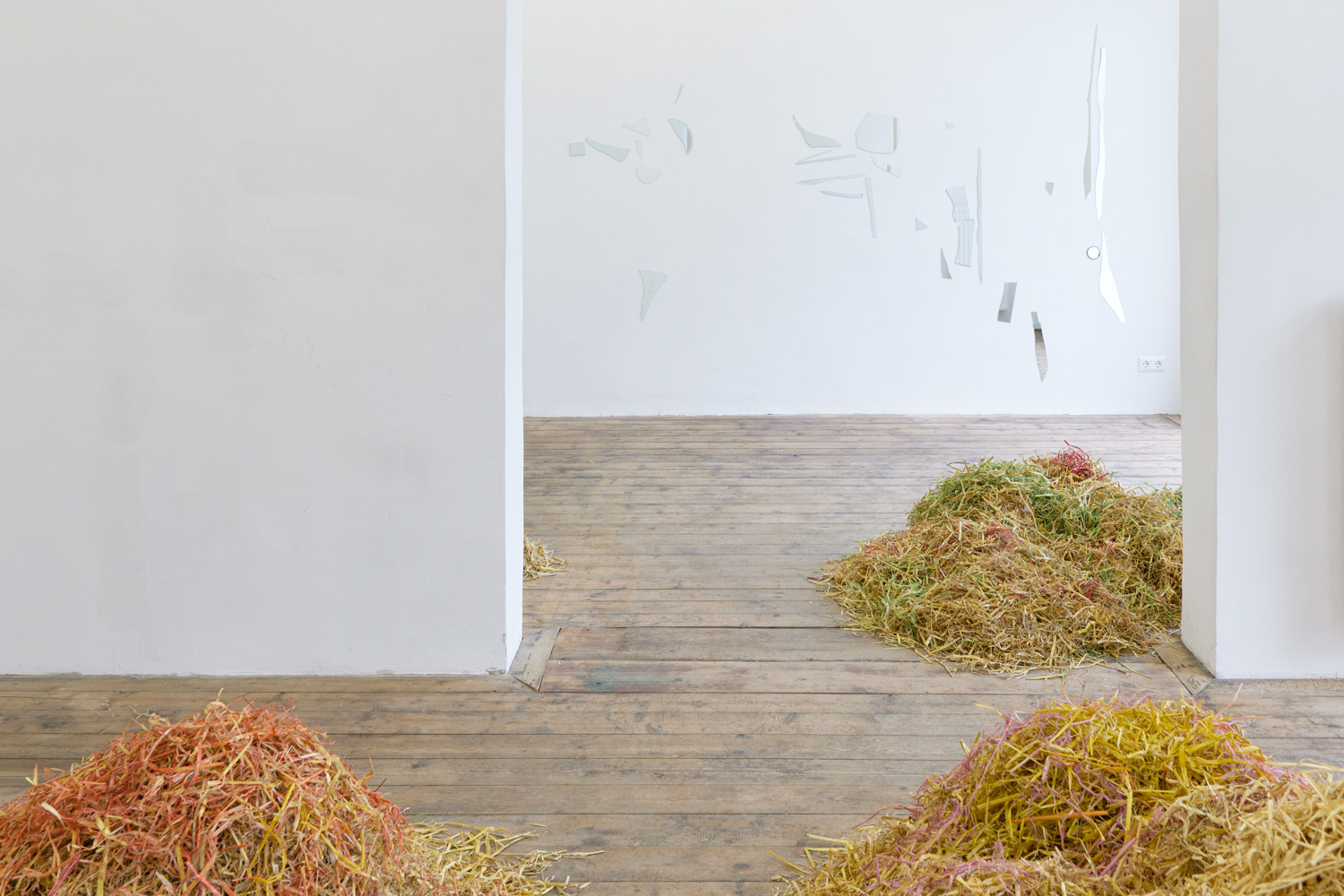 Sveta Mordovskaya, Assholes, installation view, Kevin Space 2022. Photo: Maximilian Anelli-Monti. Courtesy the artist and Weiss Falk, Zurich