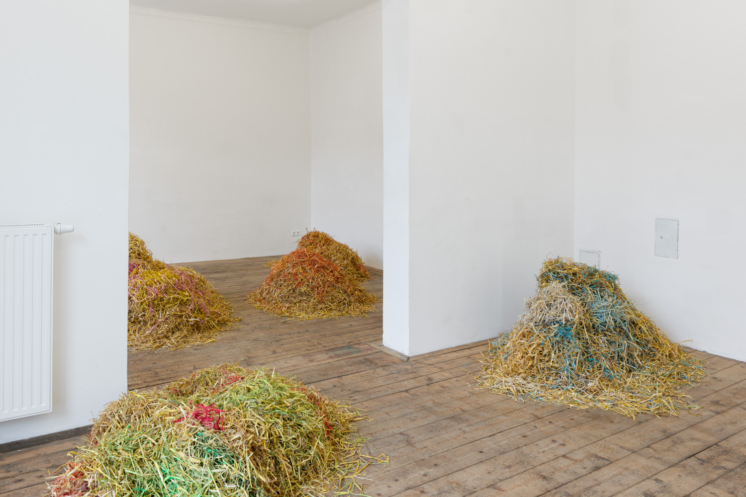 Sveta Mordovskaya, Assholes, installation view, Kevin Space 2022. Photo: Maximilian Anelli-Monti. Courtesy the artist and Weiss Falk, Zurich