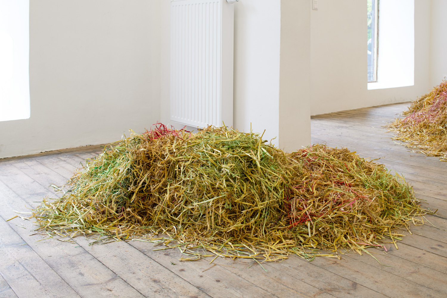Sveta Mordovskaya, Assholes, installation view, Kevin Space 2022. Photo: Maximilian Anelli-Monti. Courtesy the artist and Weiss Falk, Zurich