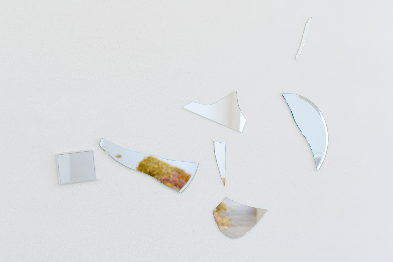 Sveta Mordovskaya, Assholes, installation view, Kevin Space 2022. Photo: Maximilian Anelli-Monti. Courtesy the artist and Weiss Falk, Zurich
