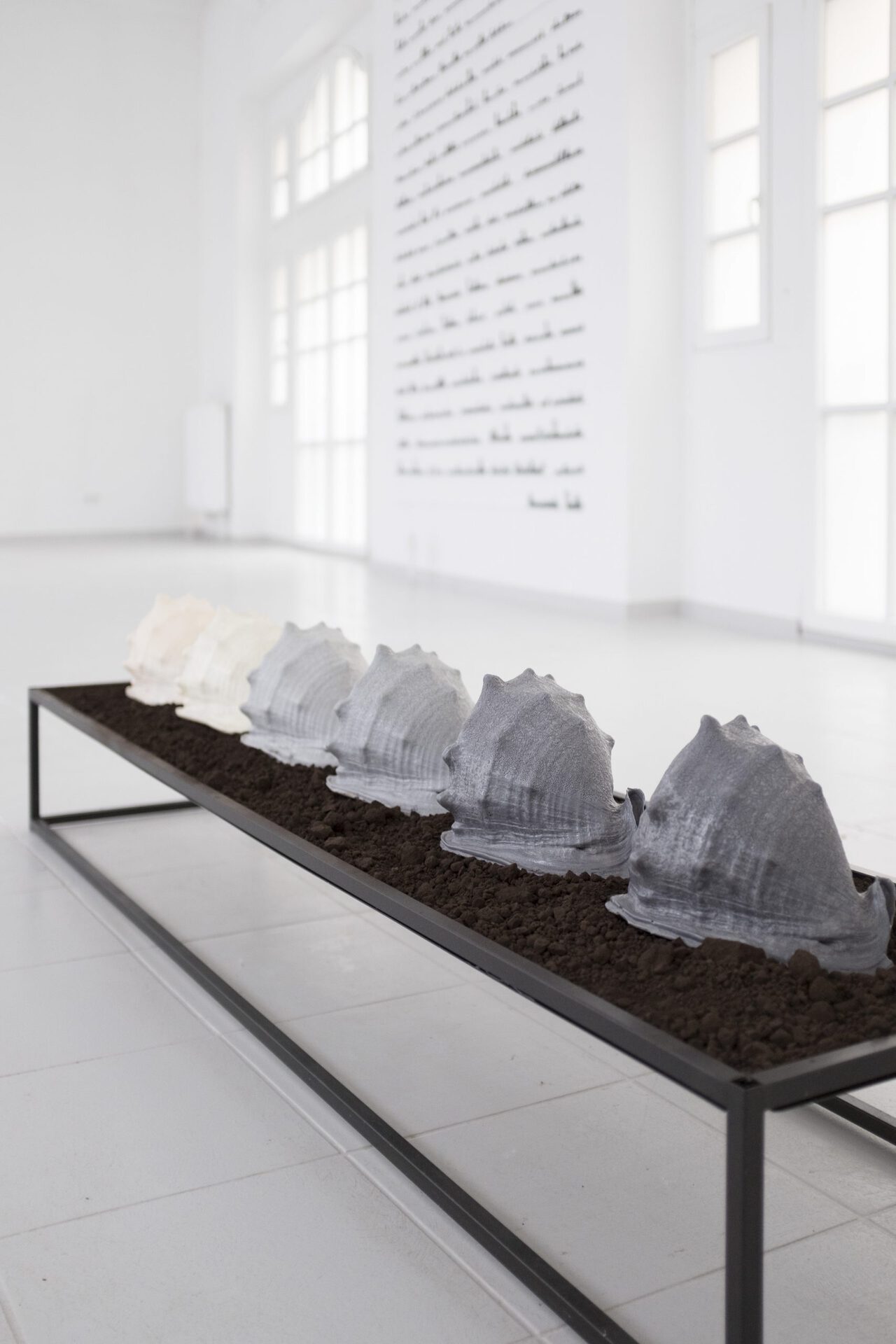 Katharina Gahlert, Listening to Shells, 6 imitation snail shells made of PU plastic, raw lignite, Steel stand, 50cm x40cm x170cm