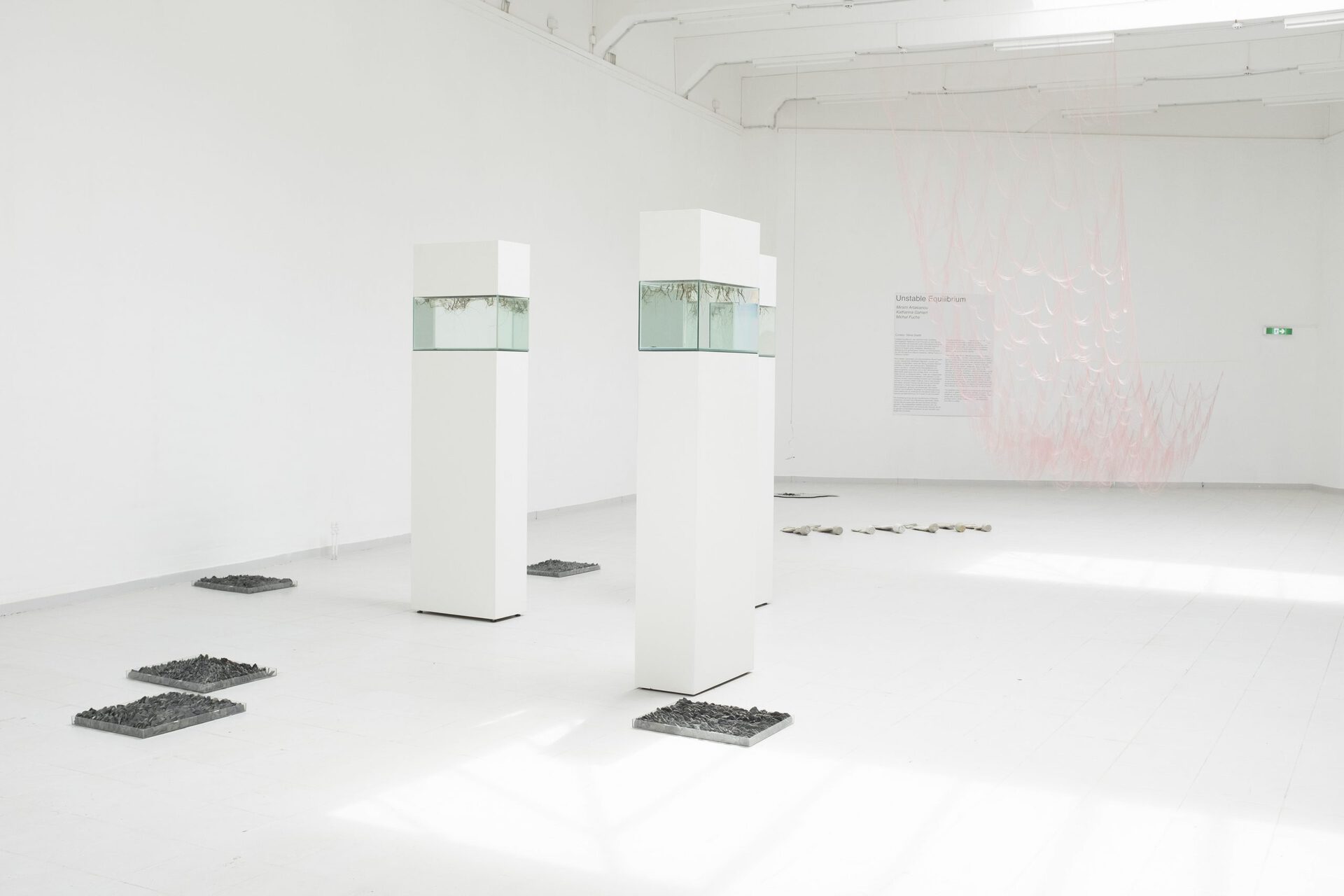 Exhibition View, Mirsini Artakianou, Untitled, Thread, Brass, Textile 10meter Long x 200cm,  Michal Fuchs, Der Wanderer, 2019-20, Wooden pedestals, glass basins, water, plants, 200 x 60 x 30cm, Katharina Gahlert,