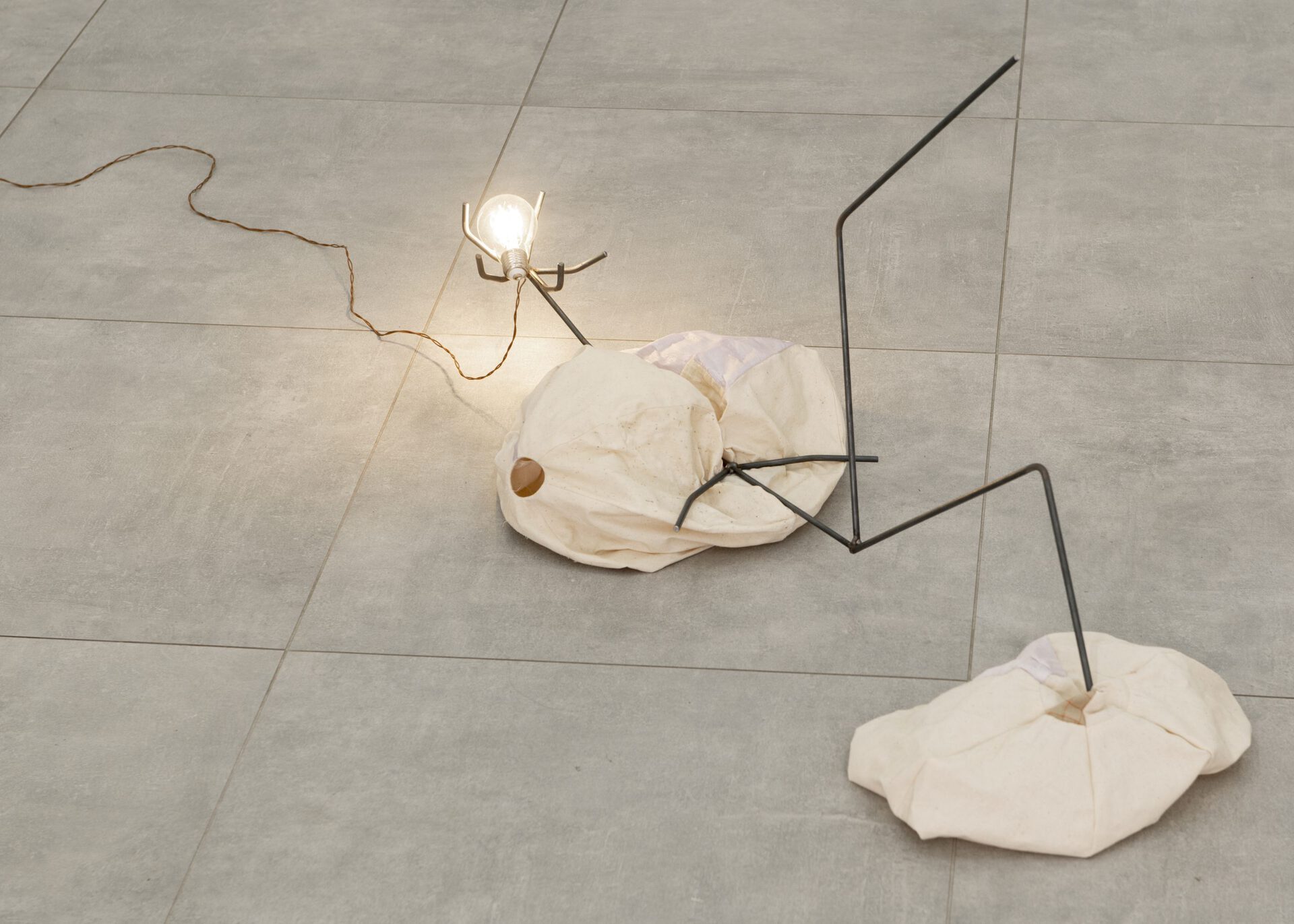 Karolin Braegger, One Skin Too Few, 2022 lightbulb, textile, steel, wire, electricity