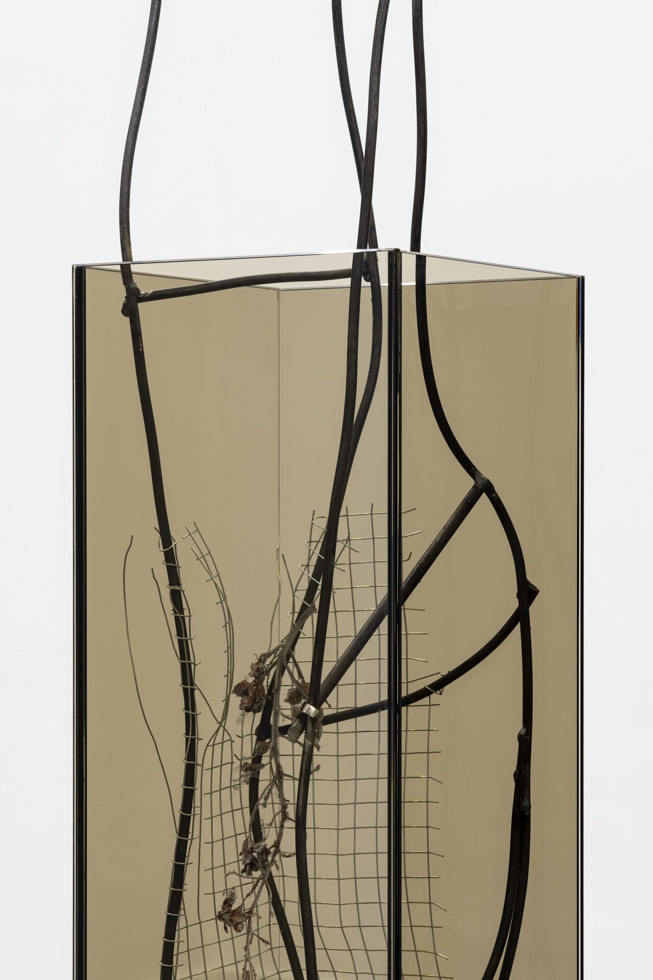 Ania Bąk, Fine caging, detail, 2022 mdf board, glue, textiles, natural latex, natural fiber, glue, varnish