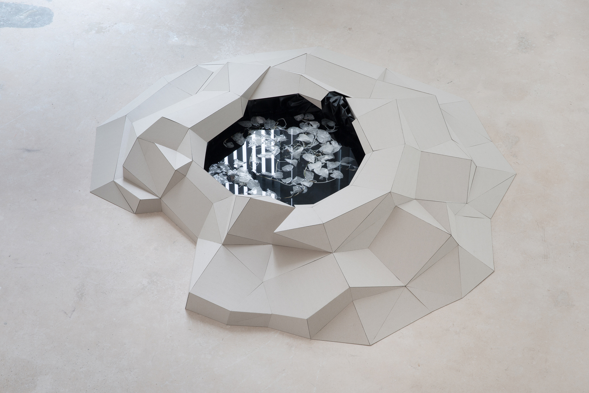 Tchelet Ram, Untitled, 2010/2022 bleach, plants, water, cardboard, various materials Photo: Jens Franke  Courtesy: the artist