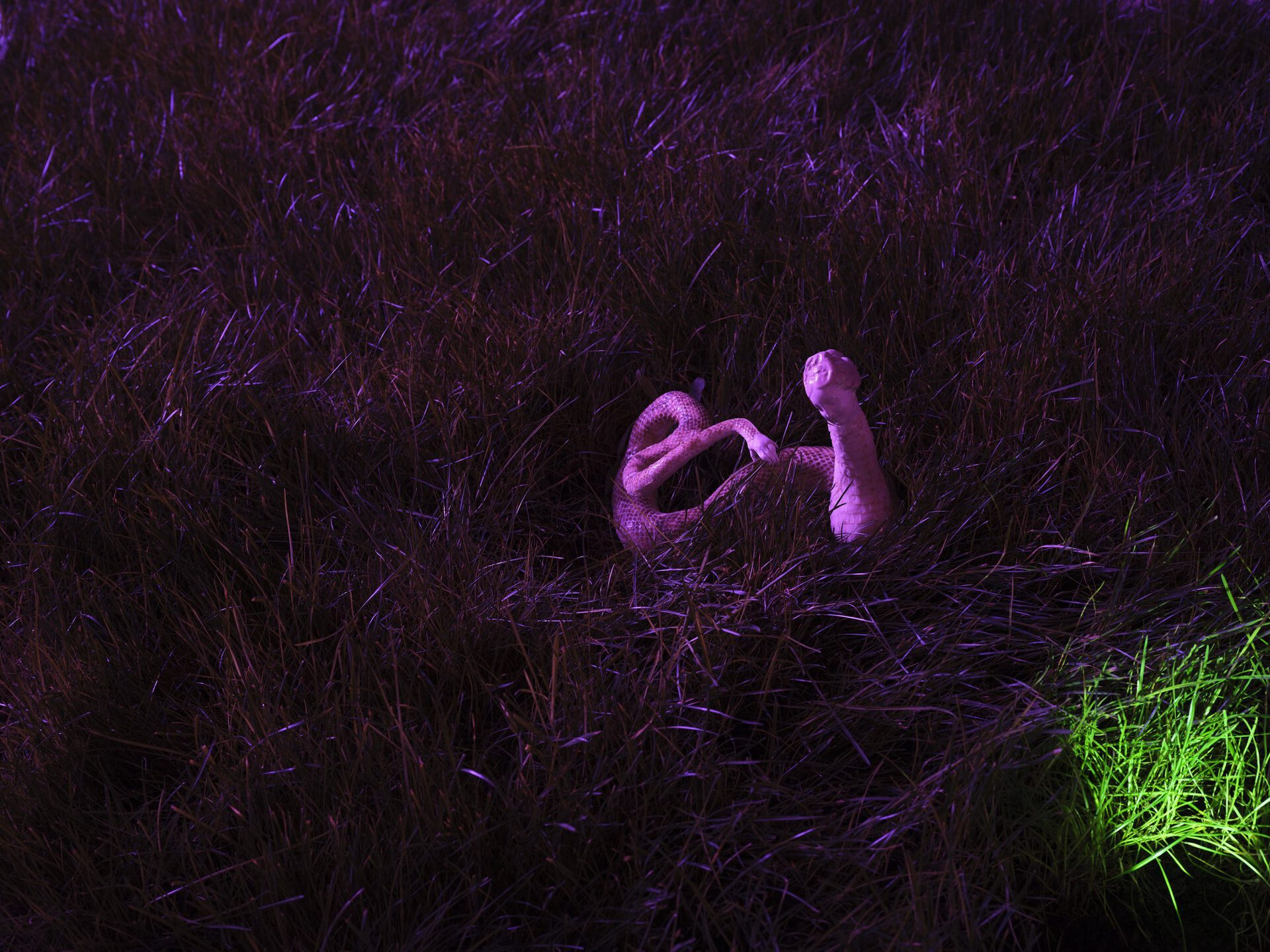 Krzysztof Gil, The Snake of Izabela Czartoryska, object, 2021