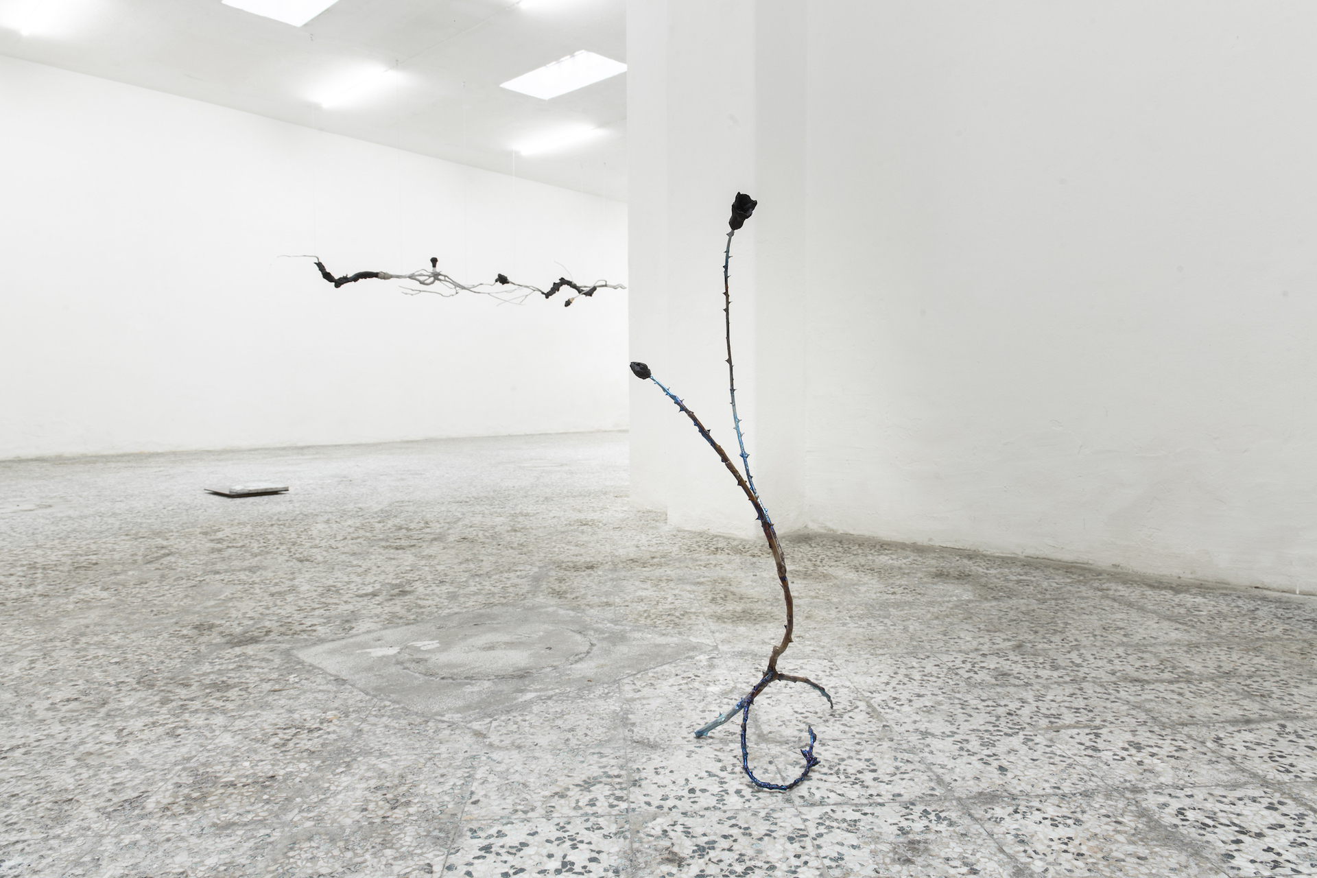 #2 Installation view, Sottofondo studio, E ci fa dispetto il tempo, 2022
