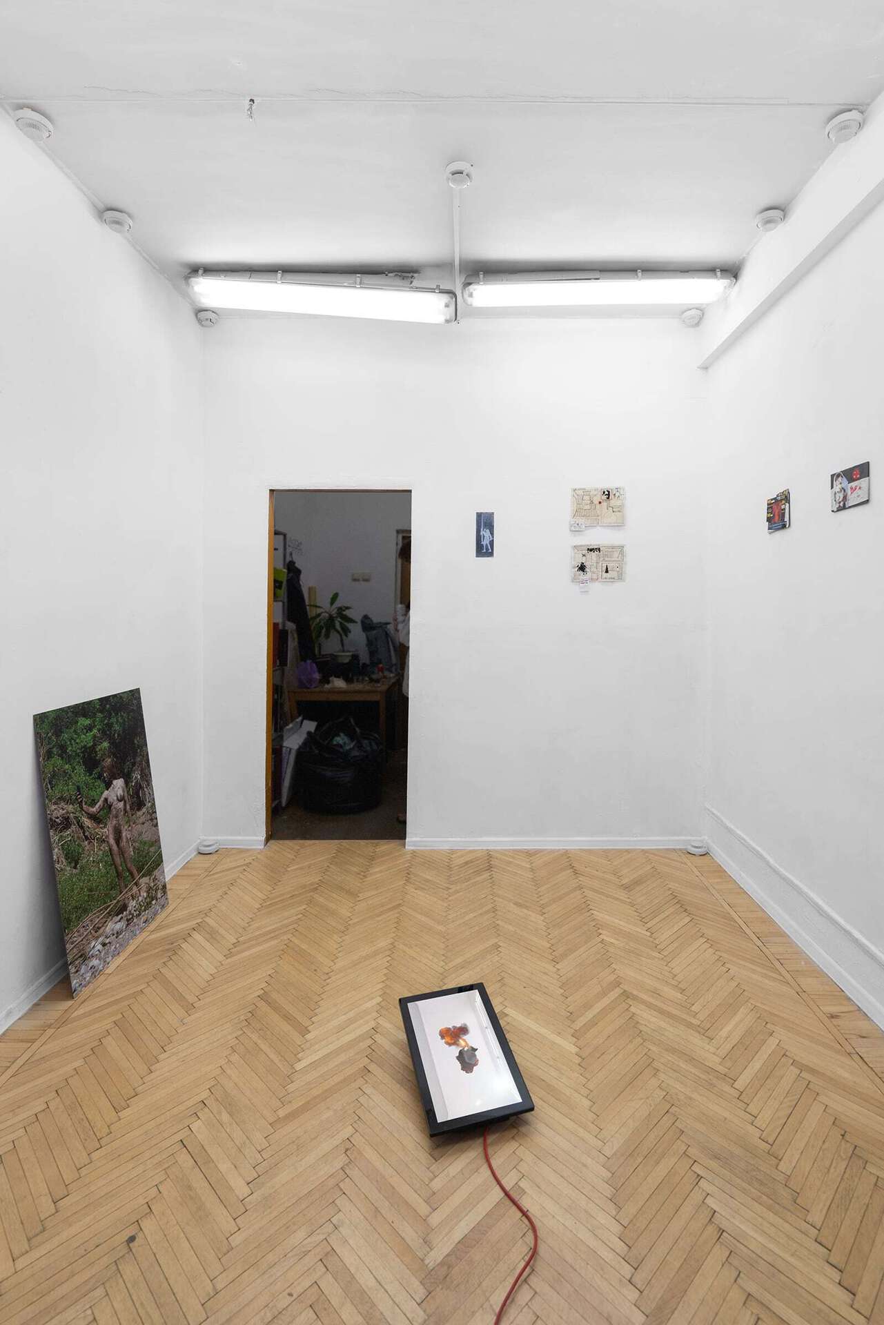 Installation view
