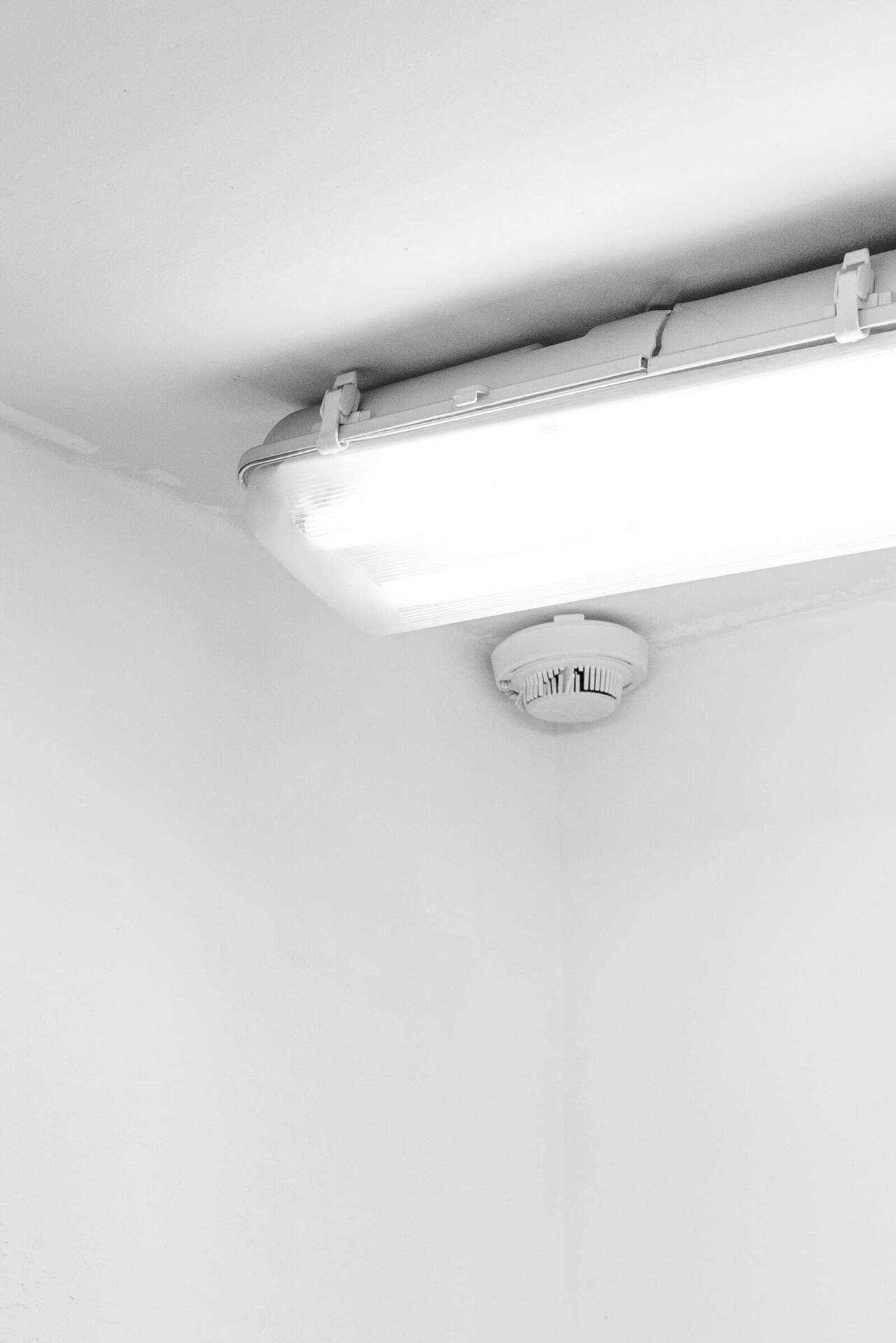 Arc M Sch, perception of sound when no sound is present (detail), 2022, 8 fire alarms, dimensions vary