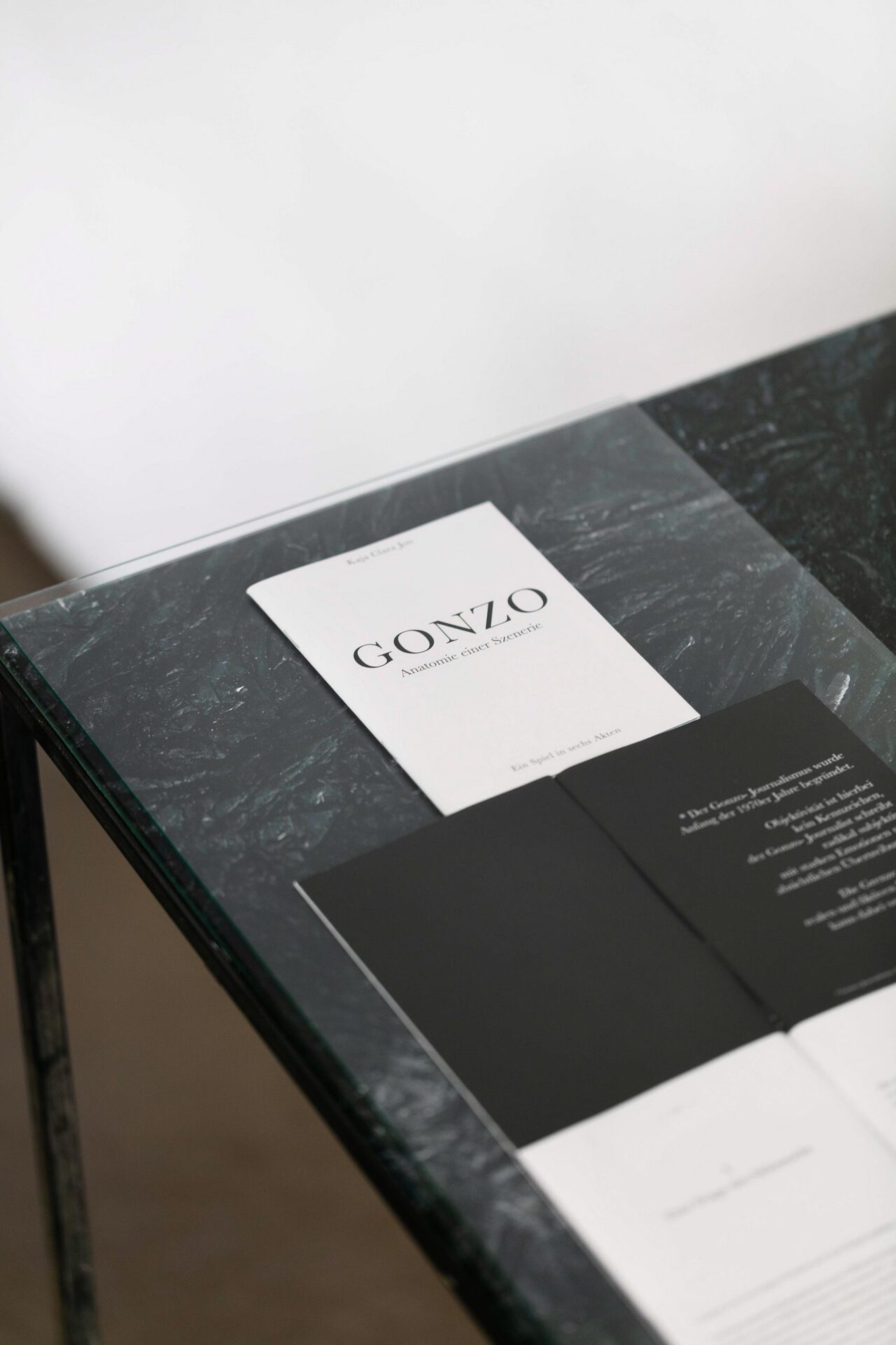 Kaja Clara Joo, GONZO (Anatomie einer Szenerie), 2022, Artist book, 21 x 14.8 cm, Edition of 300