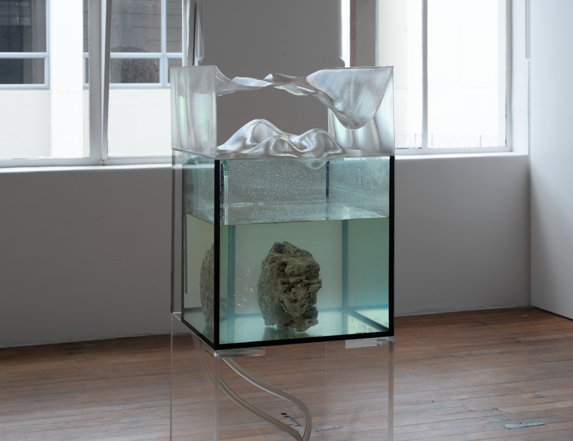 Installation view: Richard Frater, Stop Shell (live rock version), 2019, fossilised coral, 3D printed macroscopic graphs, coral organism, marine aquarium, bio-media, plexiglass, 1460 x 400 x 400mm; in: “Indifference”, Michael Lett Gallery