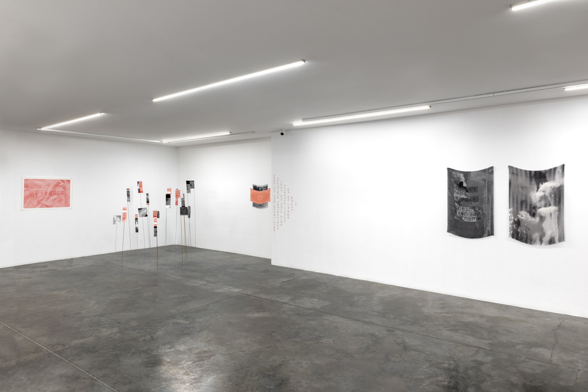 Luz Blanco, Floating Images, Installation shot