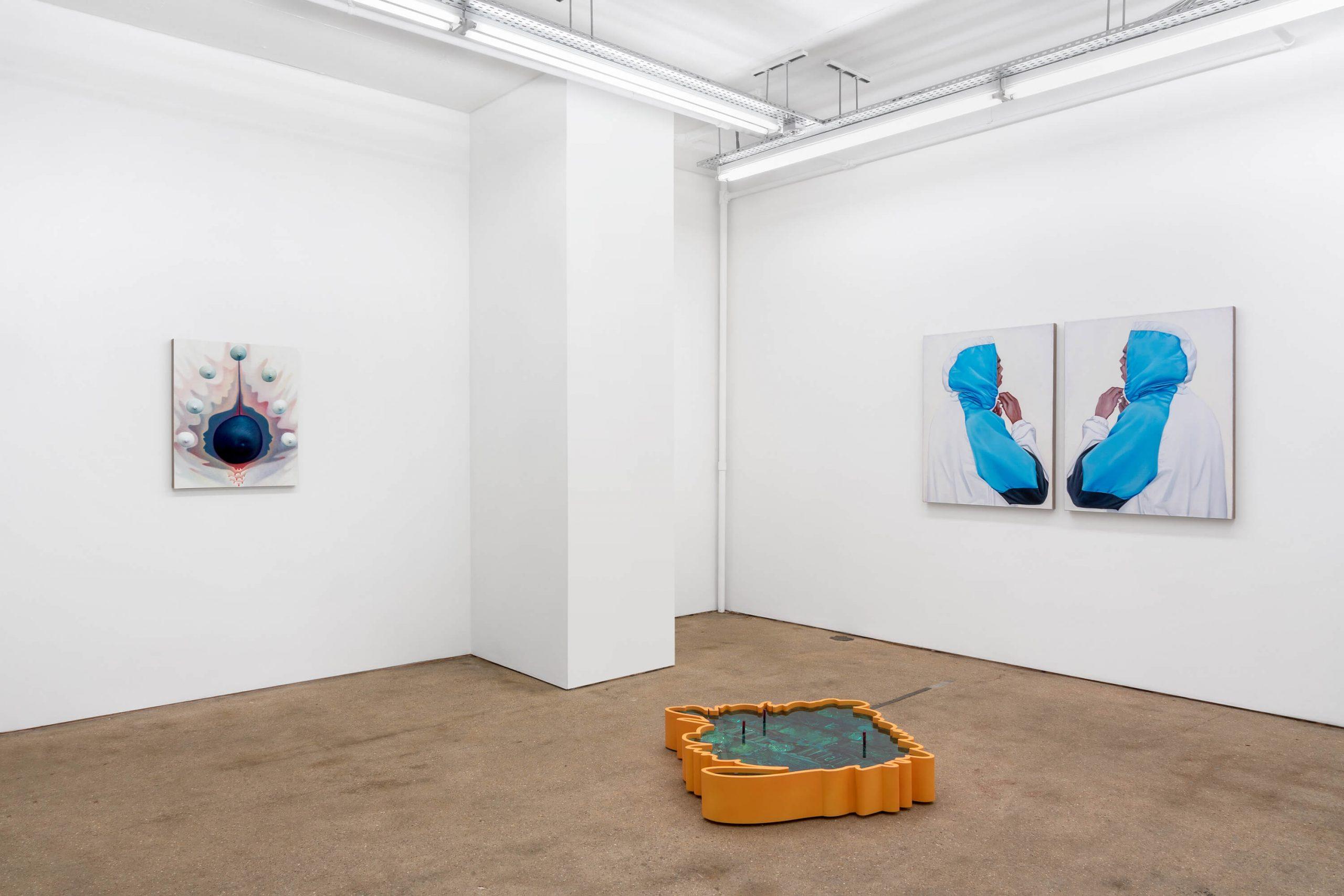 Now I am a lake: Curated by Rose Nestler, Installation view, Public Gallery, London, 2022
