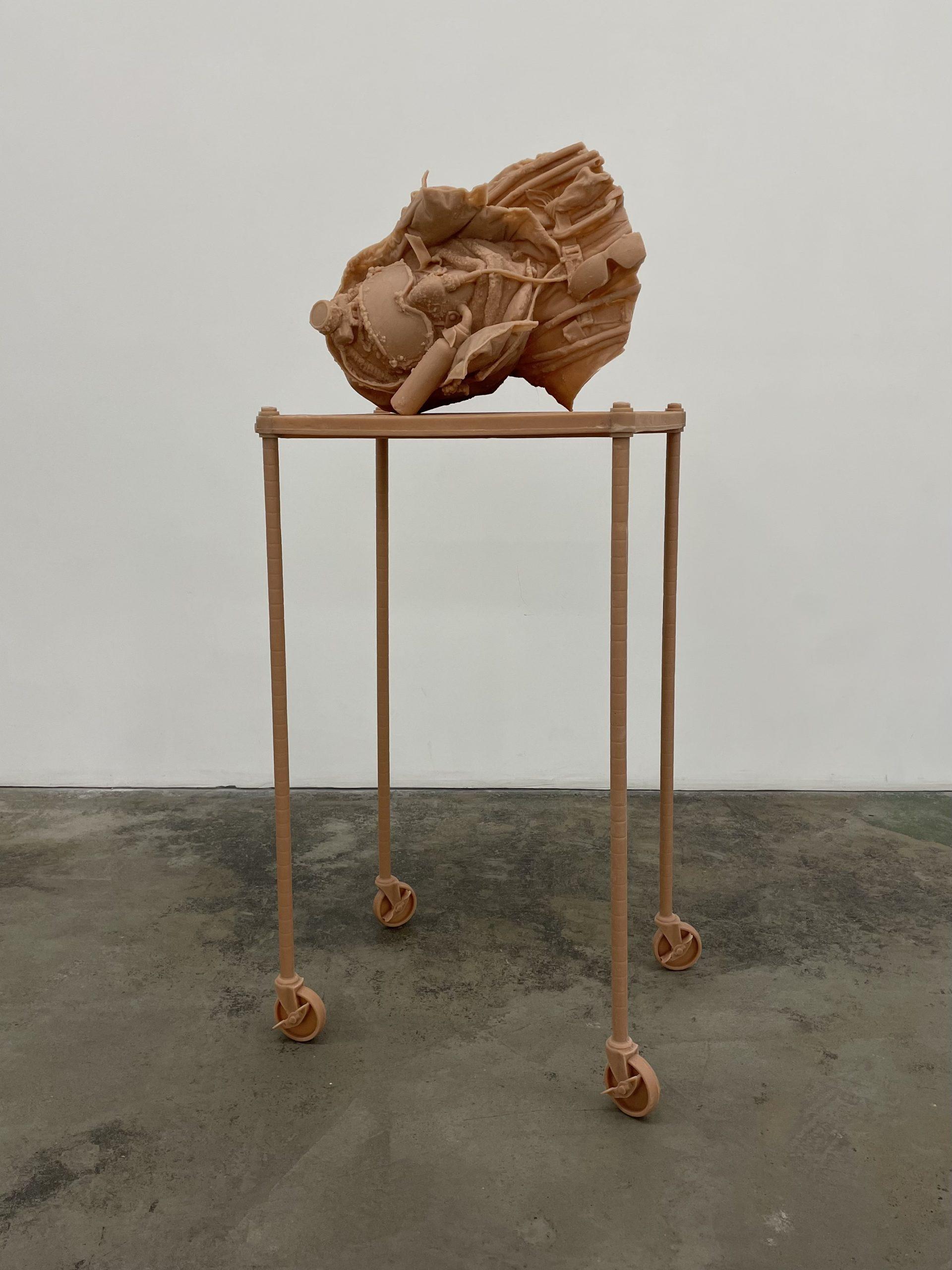 Taylor Tschider_Untitled (Valley of The Rogue Study No. 5)_2022_Prototype resin, unique tint_150x61x46cm