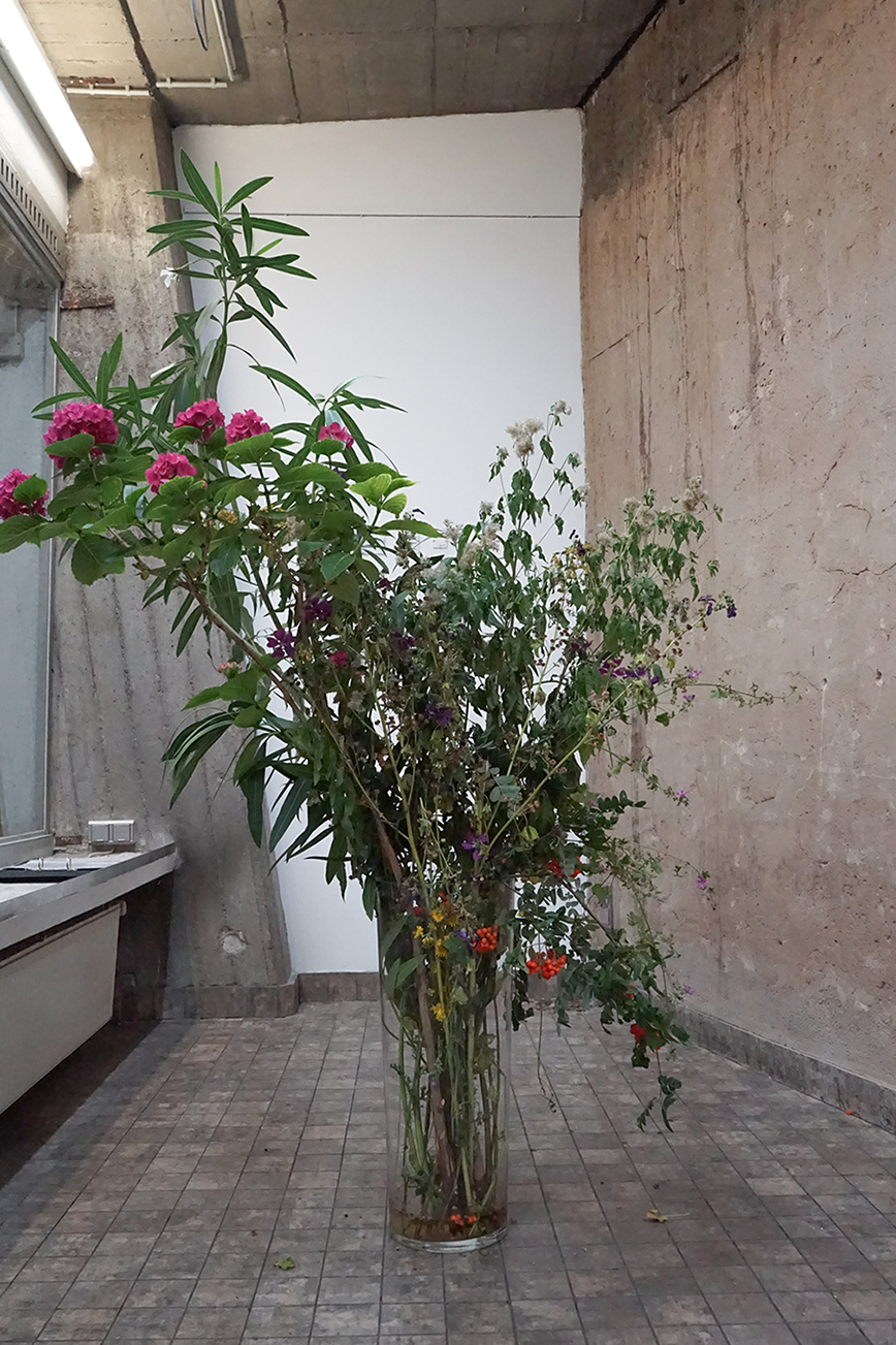 Wisrah Villefort, Set at BPA, Cologne. Picks, 2022. A set of flowers, branches, and bushes picked by the artist. (Variable materials. Variable dimensions).