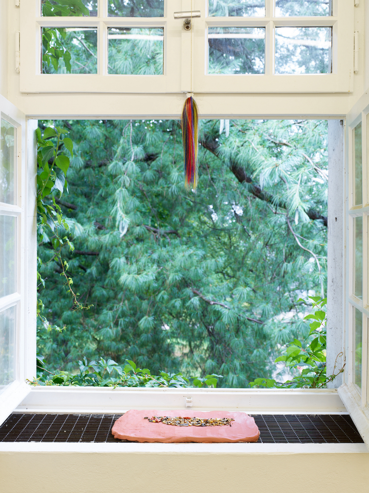 Elburuz Fidan, Memory, Remedy, Measurement: Waiting for the Parrot âFTG_1181â, 2022