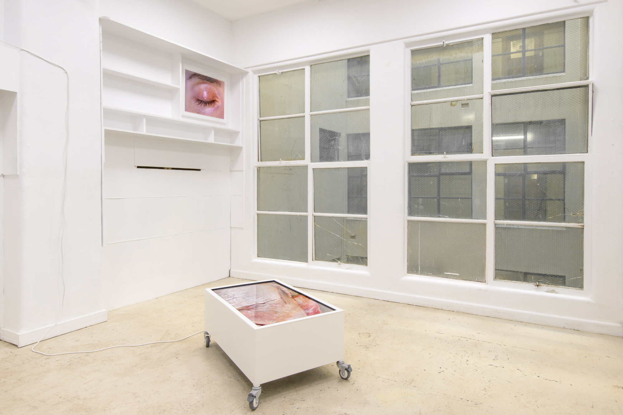 Installation view. Left to right: Red-Eye, 2022, C-type print on Fuji Lustre, acrylic box frame. Scintigraphy, 2022, HD video, LED TV, stereo sound, custom steel plinth, castors.
