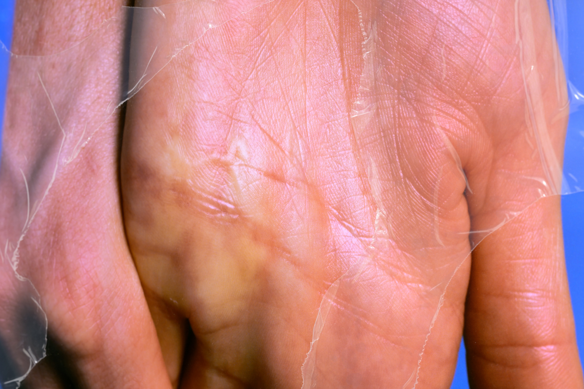 Detail image. Compulsive Reflex, 2022.