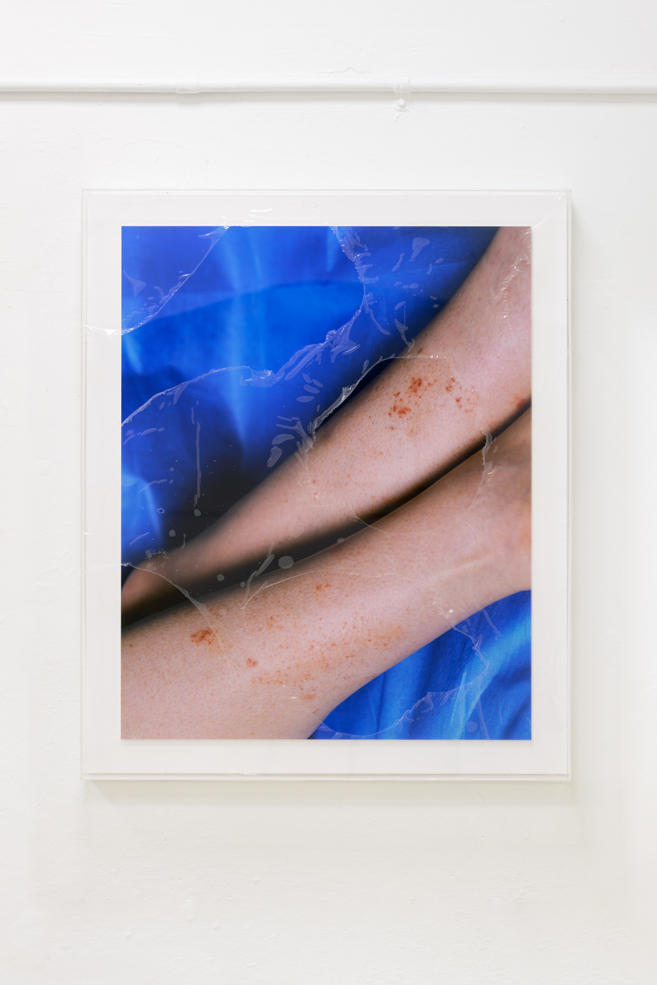 Hydro-C-Zone 2022. C-type print on Fuji Lustre, acrylic box frame, window film.