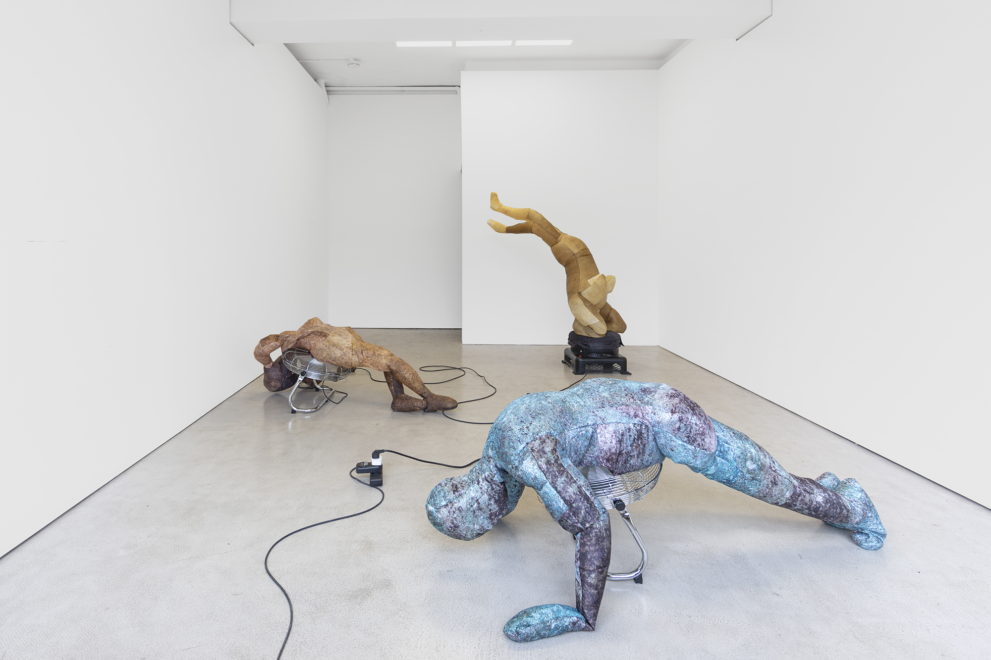 Ellinor Aurora Aasgaard & Zayne Armstrong "Bronzed, brassed and coppered." at Sundy, overview
