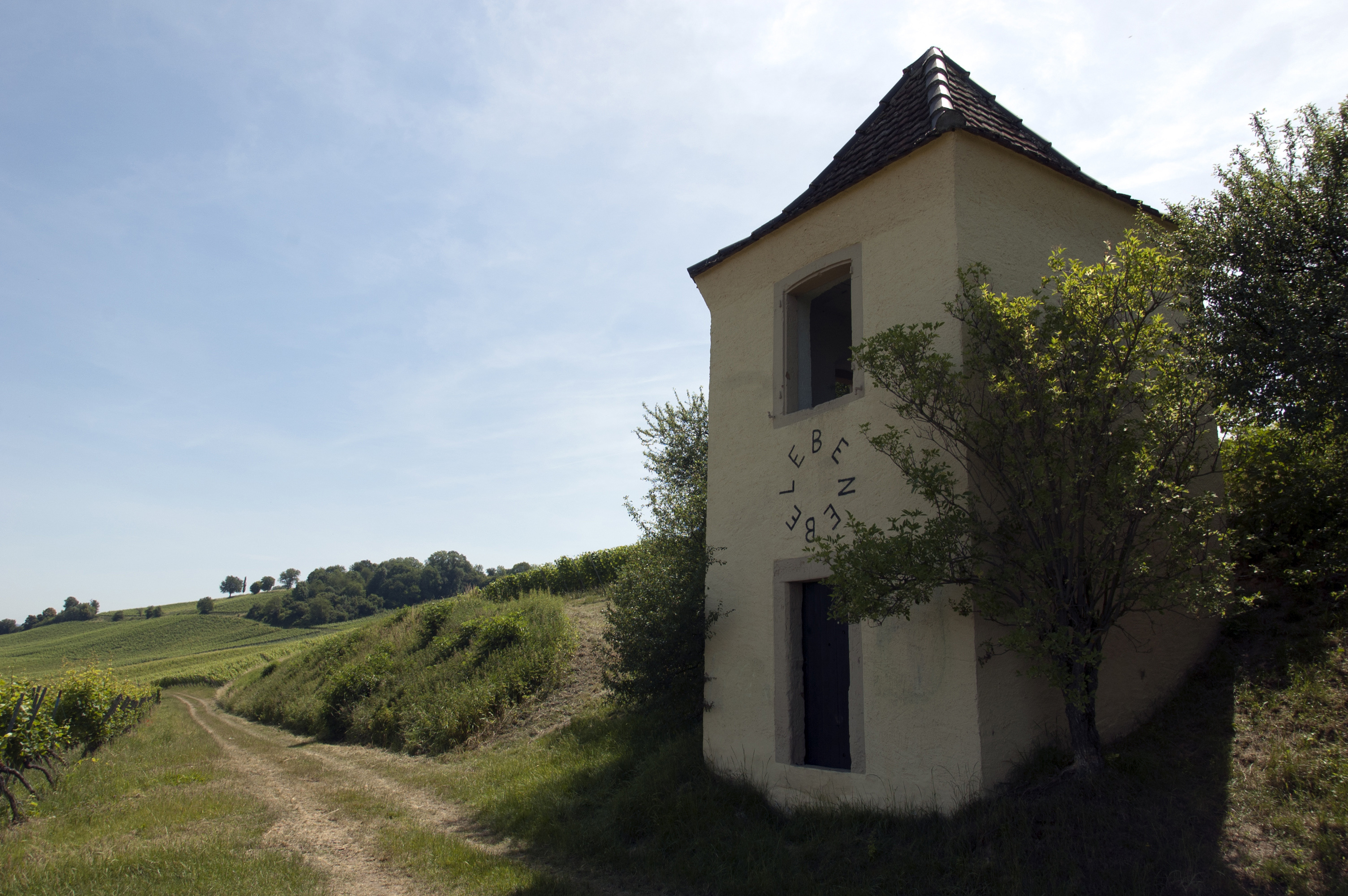 Tanja Kodlin & Ramòn Graefenstein, Ohne Titel, 2022, Kohlezeichnung aus verbrannten Weinstöcken