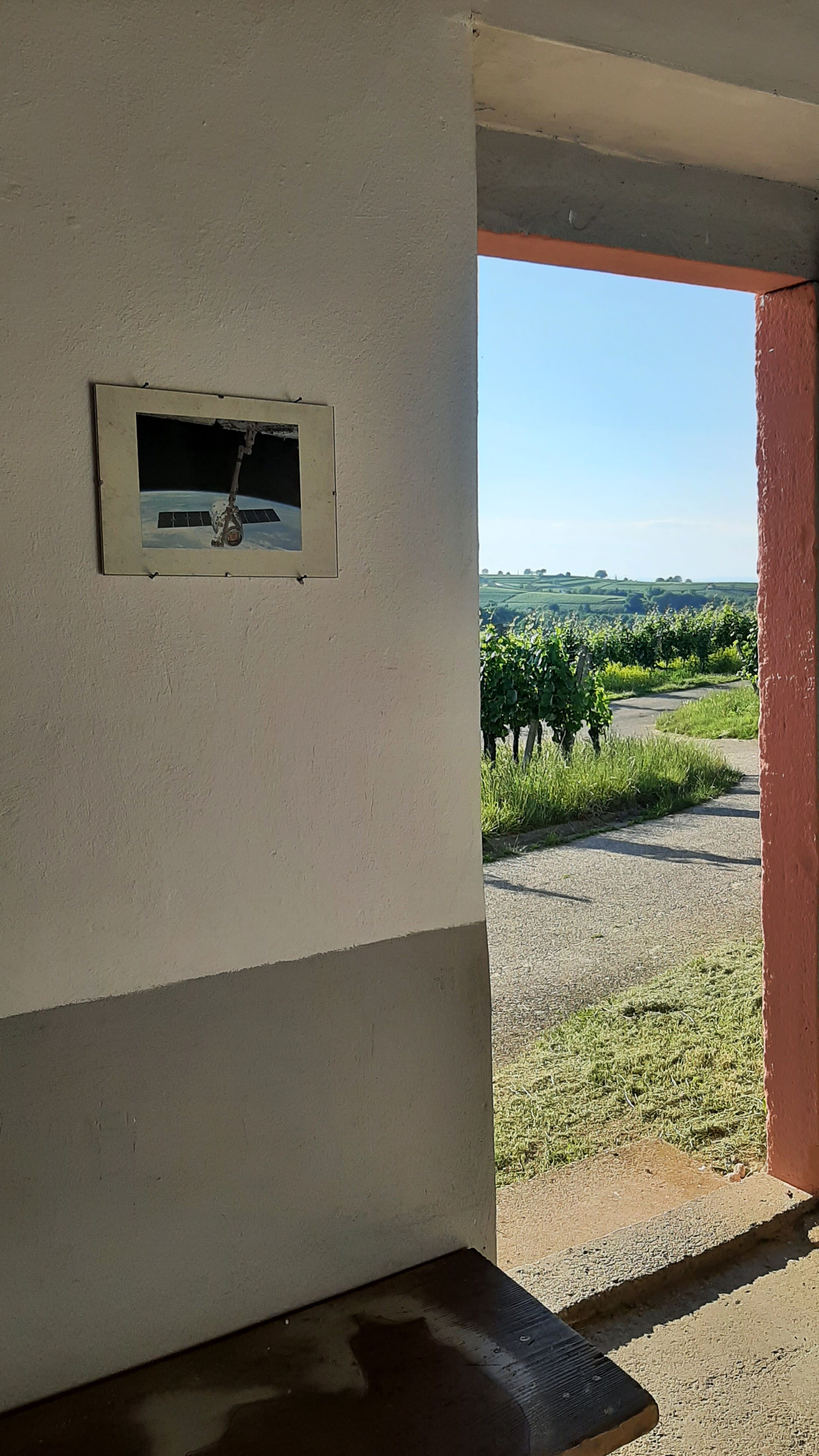 Sophie Innmann, Aus krummem Holz, 2022 lackierte Objekte (Wasserkrug, Buch, Mundharmonika, Liege), Fotografien