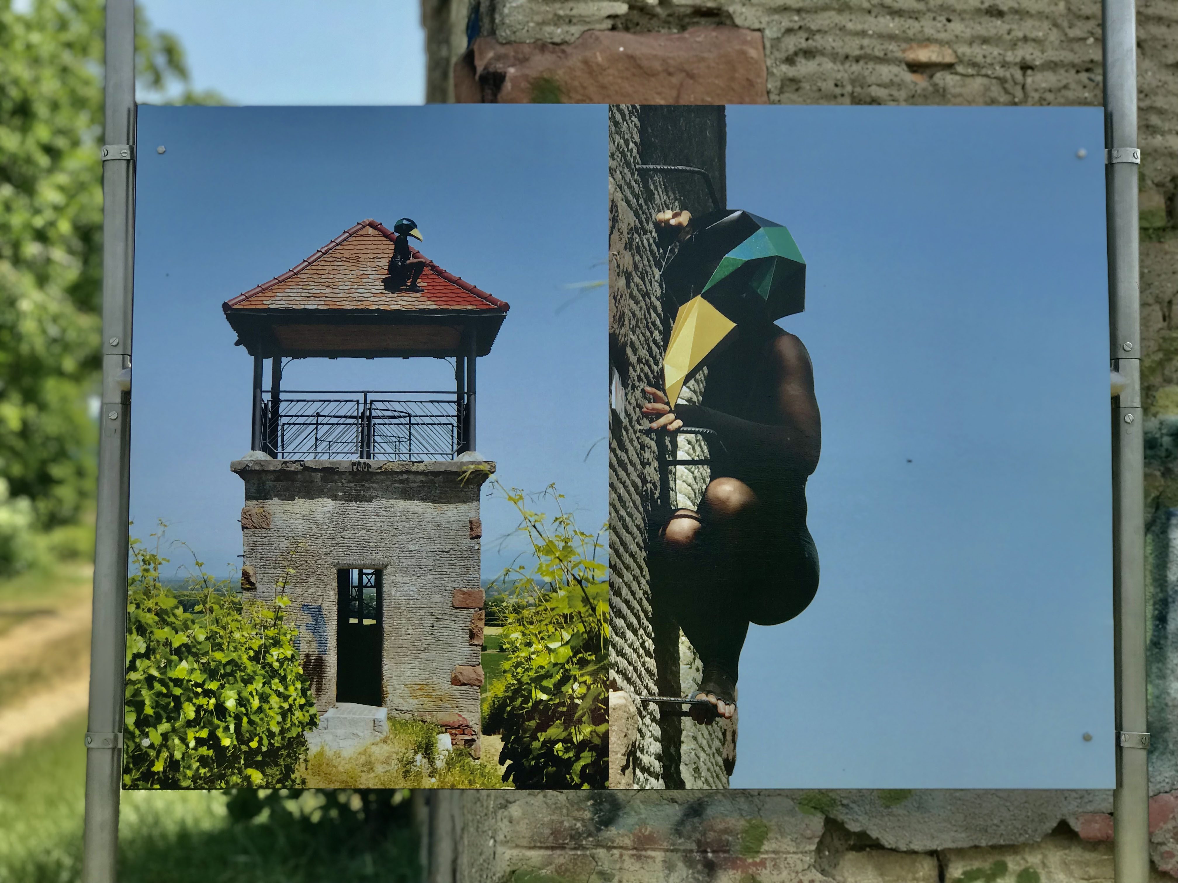 Tanja Kodlin, Artgenossen, 2022, 15-minütige Performance, Armiereisen, Schild aus Edelstahl, Fotografie, Vogelmaske (Detail)