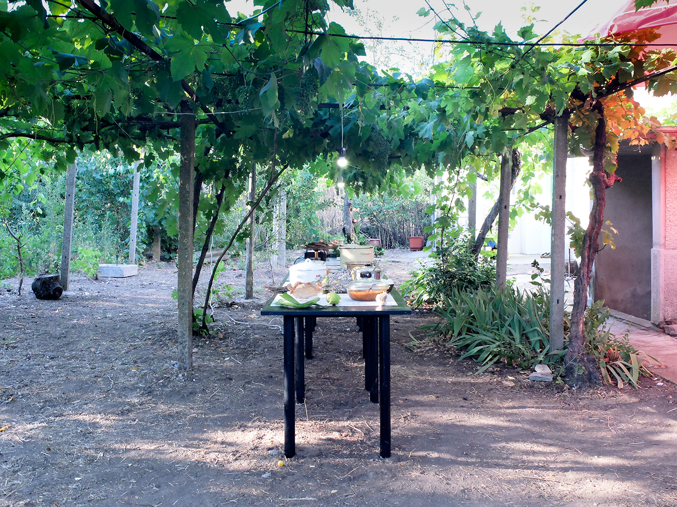 (table) Maziar Afrassiabi, Suzanne Bernhardt, Katya Buchatska, Niklas Heiss, Christine Hohenbüchler, Marine Kaiser, Mariana Lanari, Lone Haugaard Madsen, Vasilka Maneva, Bruno Mokross, Ivan Moudov, Ananya Tantuu, Takeshi Yoshida, Anna Zvyagintseva