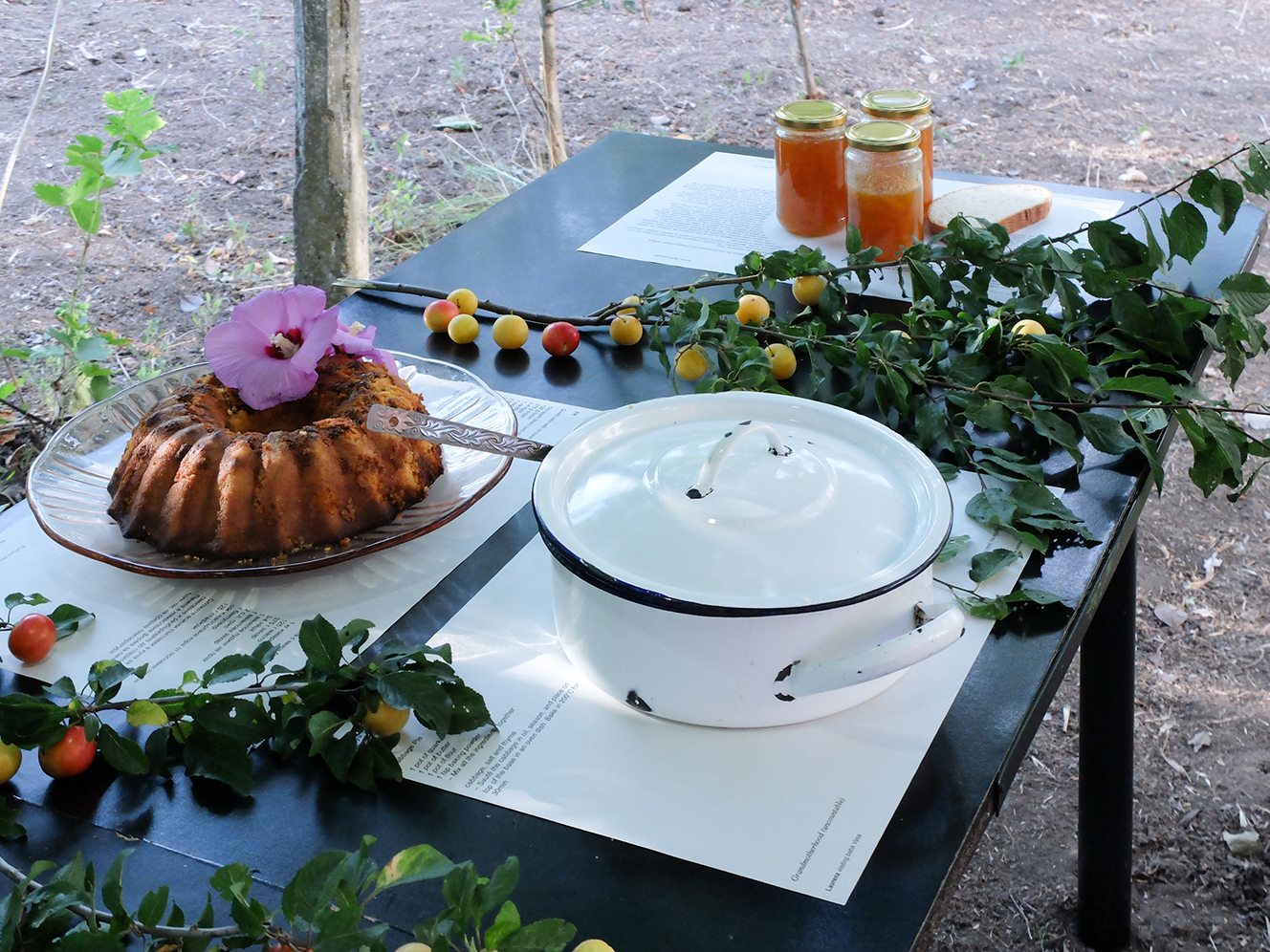 installation view (table)