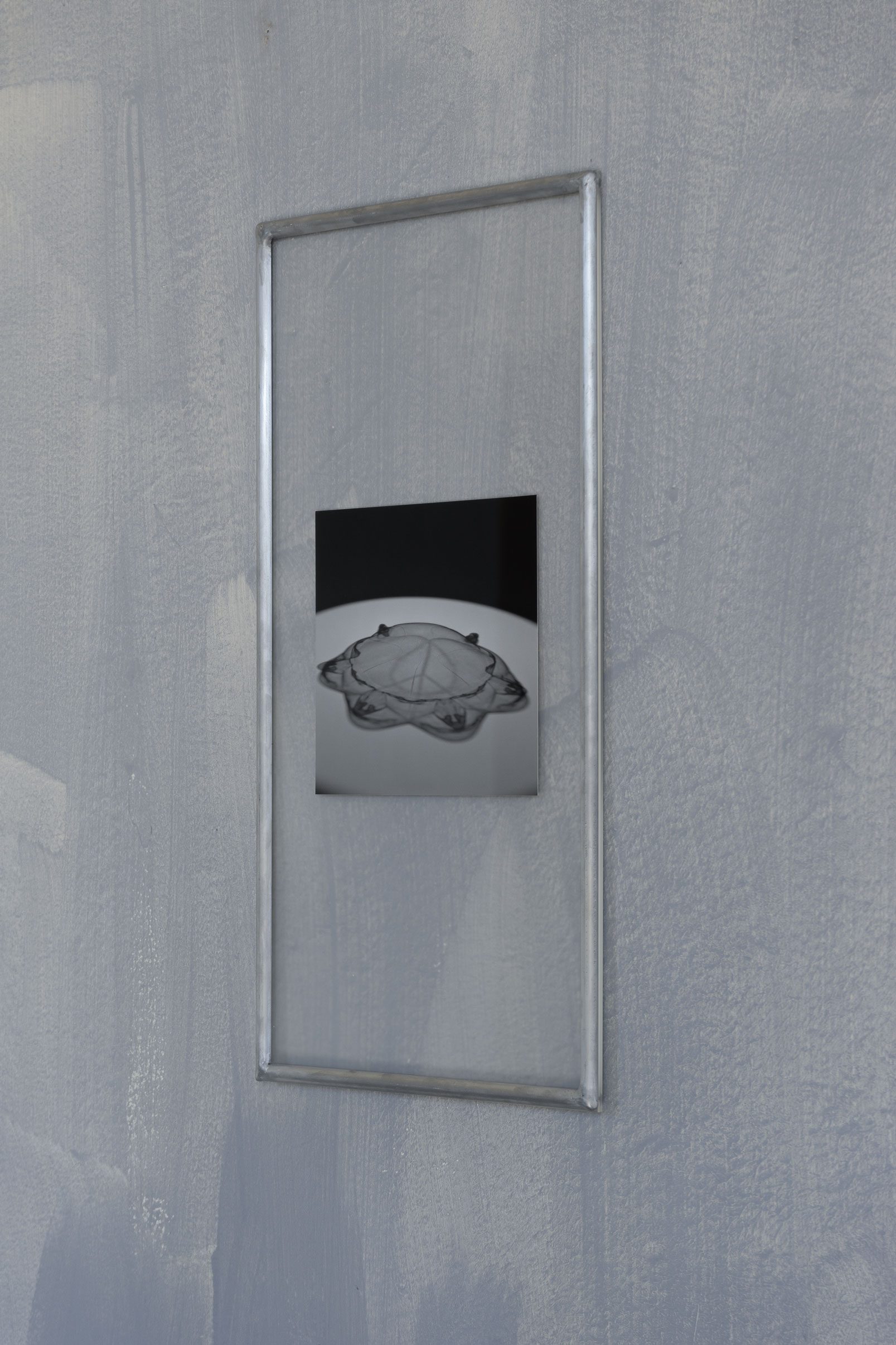 Blinkers for octagon, 2022 (silver gelatine exposure on baryta paper in plexiglass and aluminium)