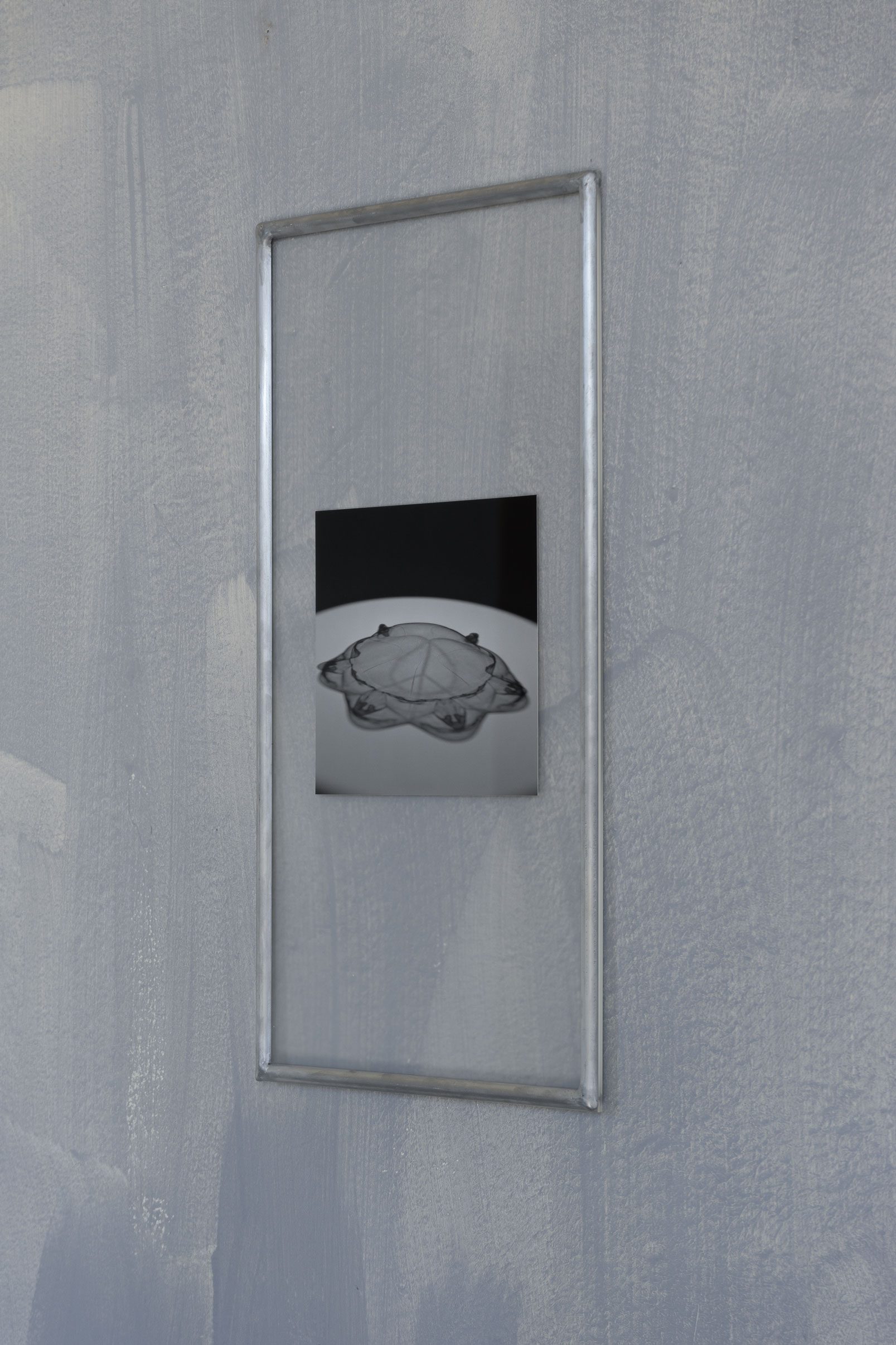Blinkers for octagon, 2022 (silver gelatine exposure on baryta paper in plexiglass and aluminium)
