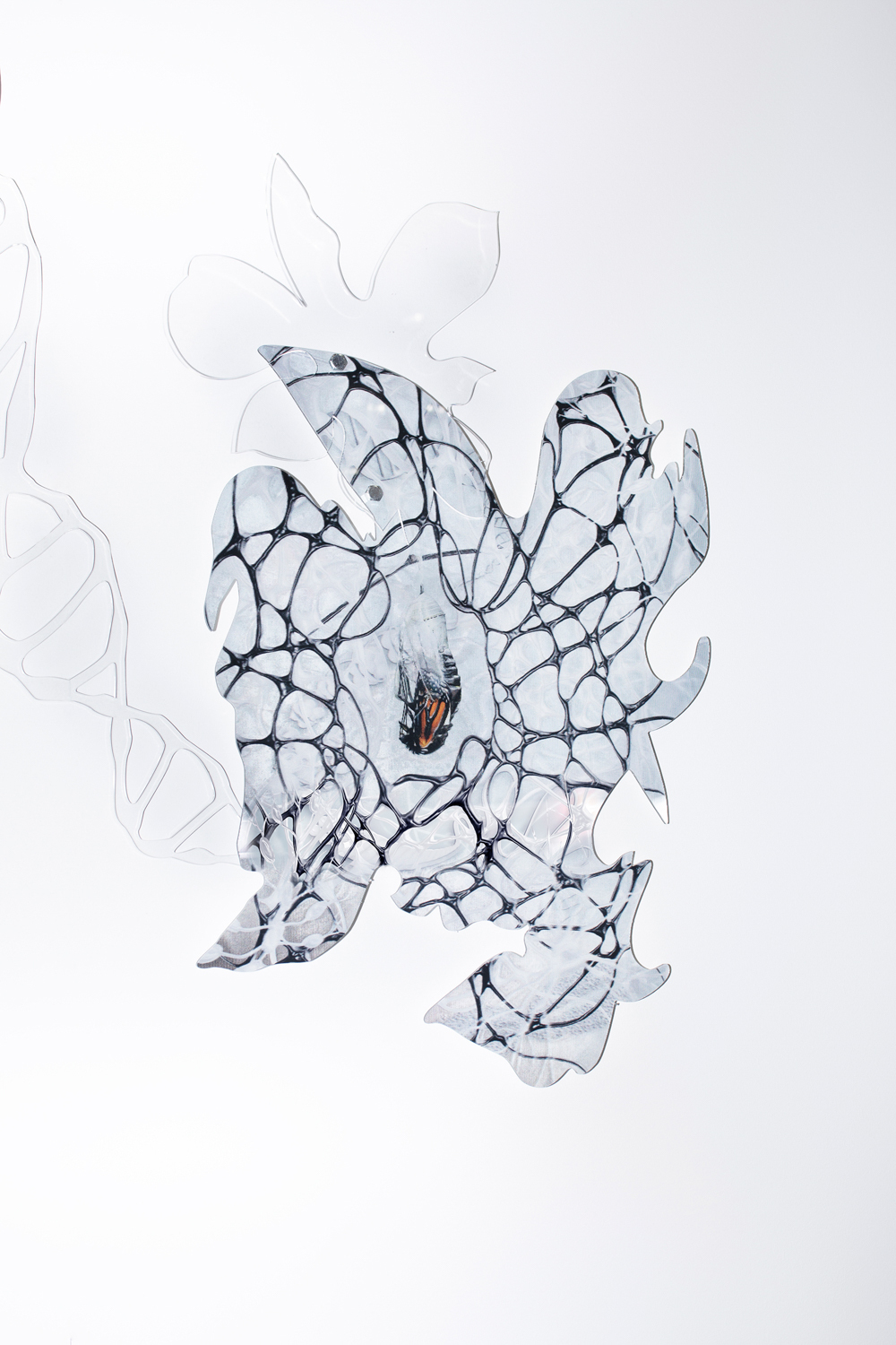 Chimera // Metamorphosis, 2022, lenticular print, plexiglass shapes and glass beads