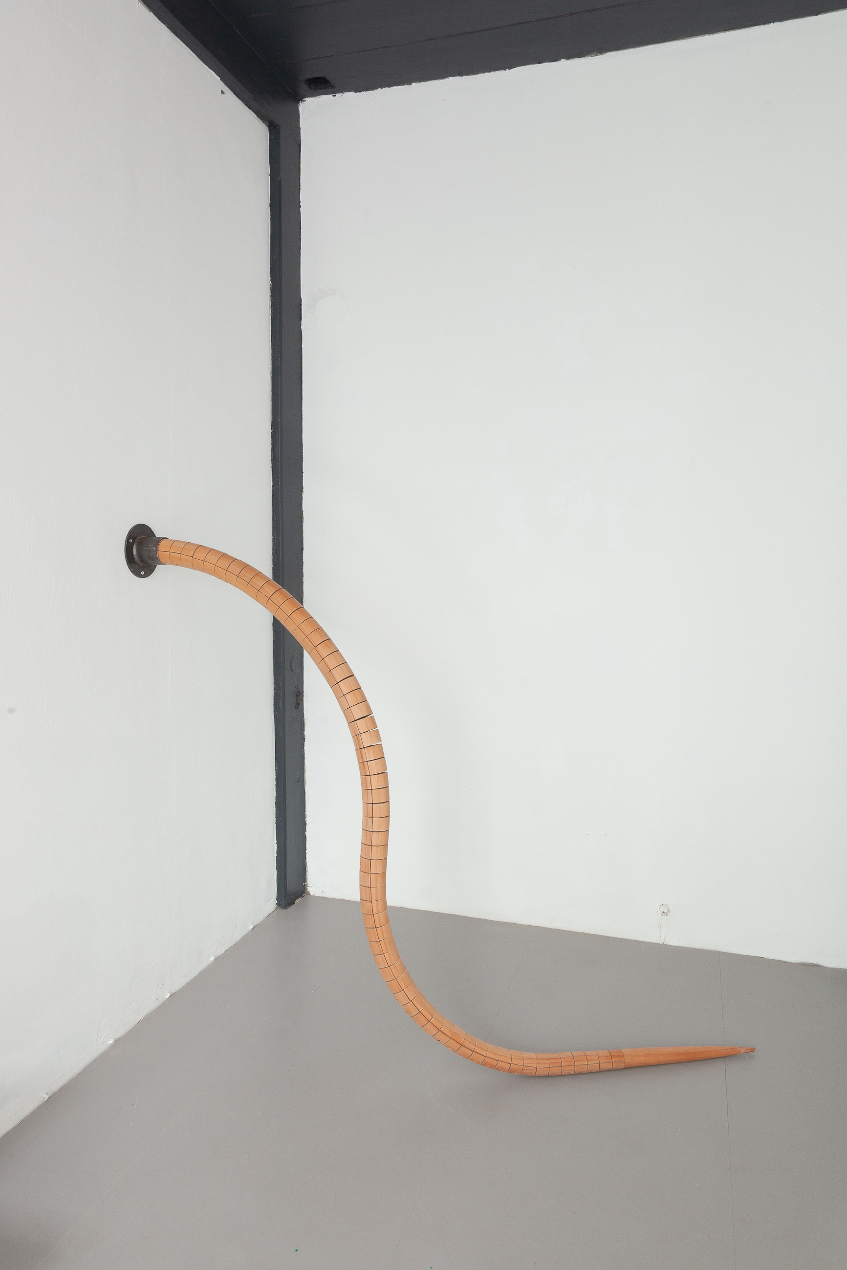 07 Miguel Soto, COLA LARGA (LONG TAIL), Â rauli wood, nylon webbing, steel 8 x 8 x 250 cm, Â 8 x 8 x 70 cm, 2022 (tail)