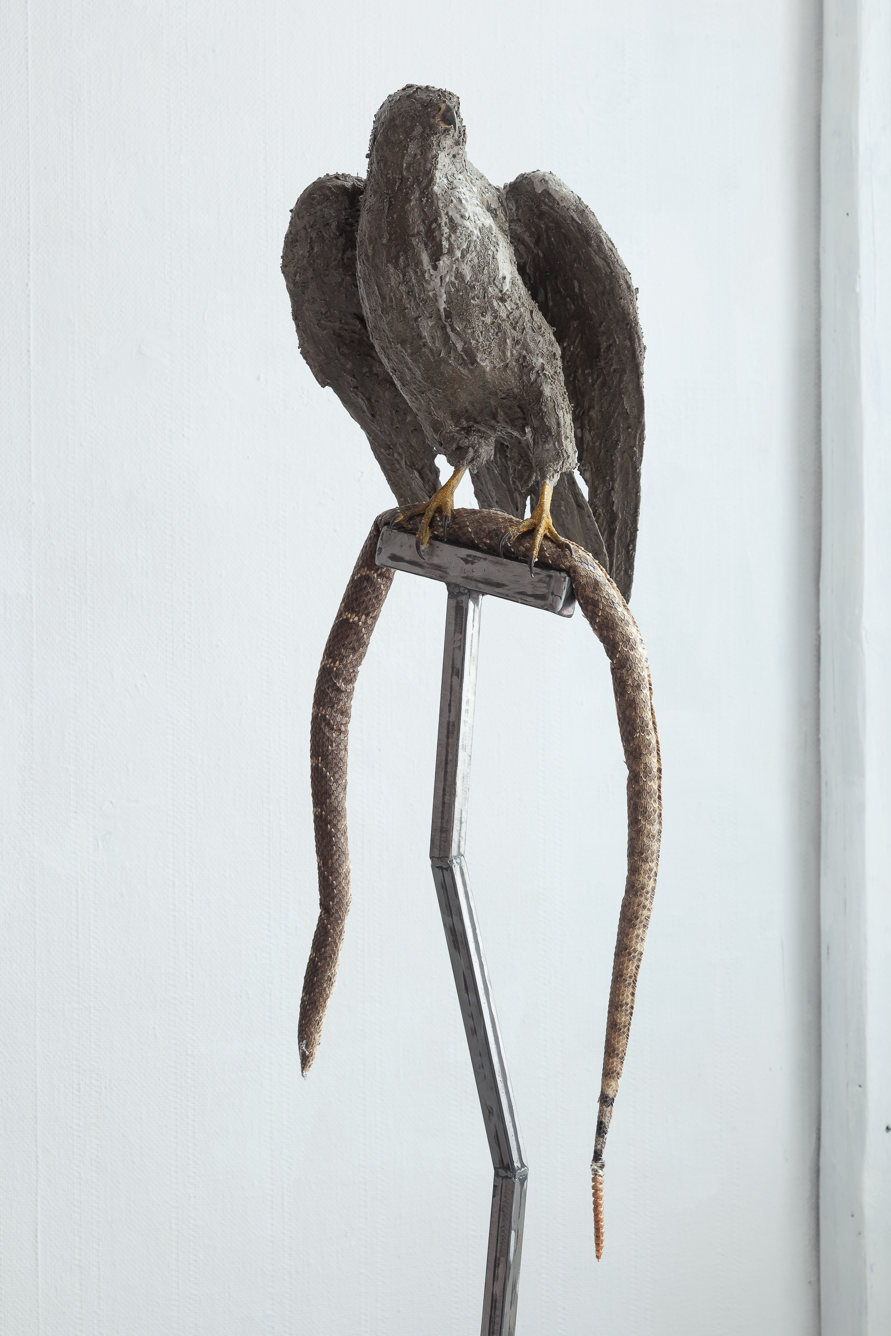 11 Nicolás Astorga, REVENGE & REDEMPTION, upcycled reassembled rattlesnake skin, upcycled falcon taxidermy, steel, 180 x 40 x 40 cm, 2022 (detail 01)