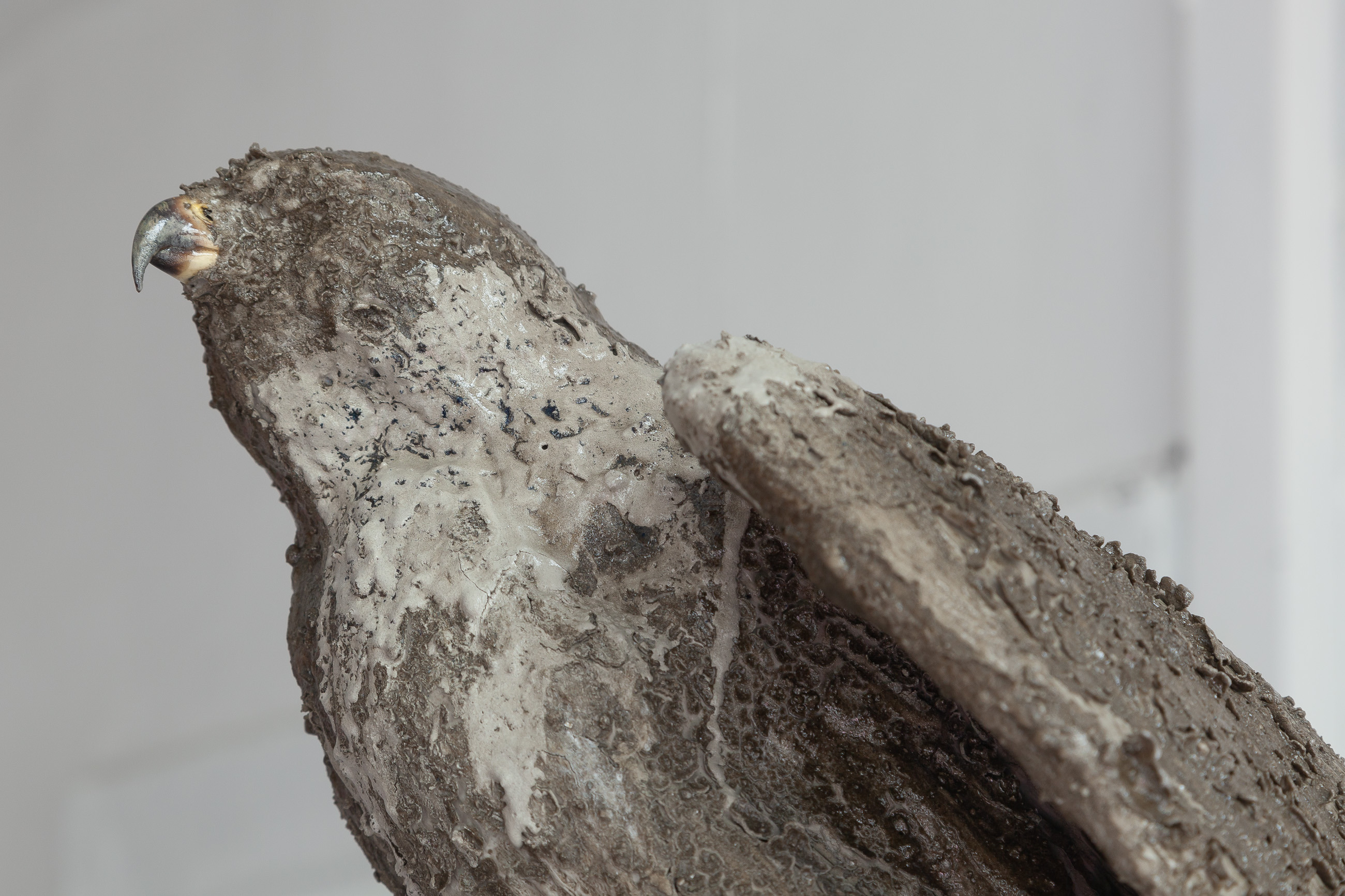 12 Nicolás Astorga, REVENGE & REDEMPTION, upcycled reassembled rattlesnake skin, upcycled falcon taxidermy, steel, 180 x 40 x 40 cm, 2022 (detail 02)