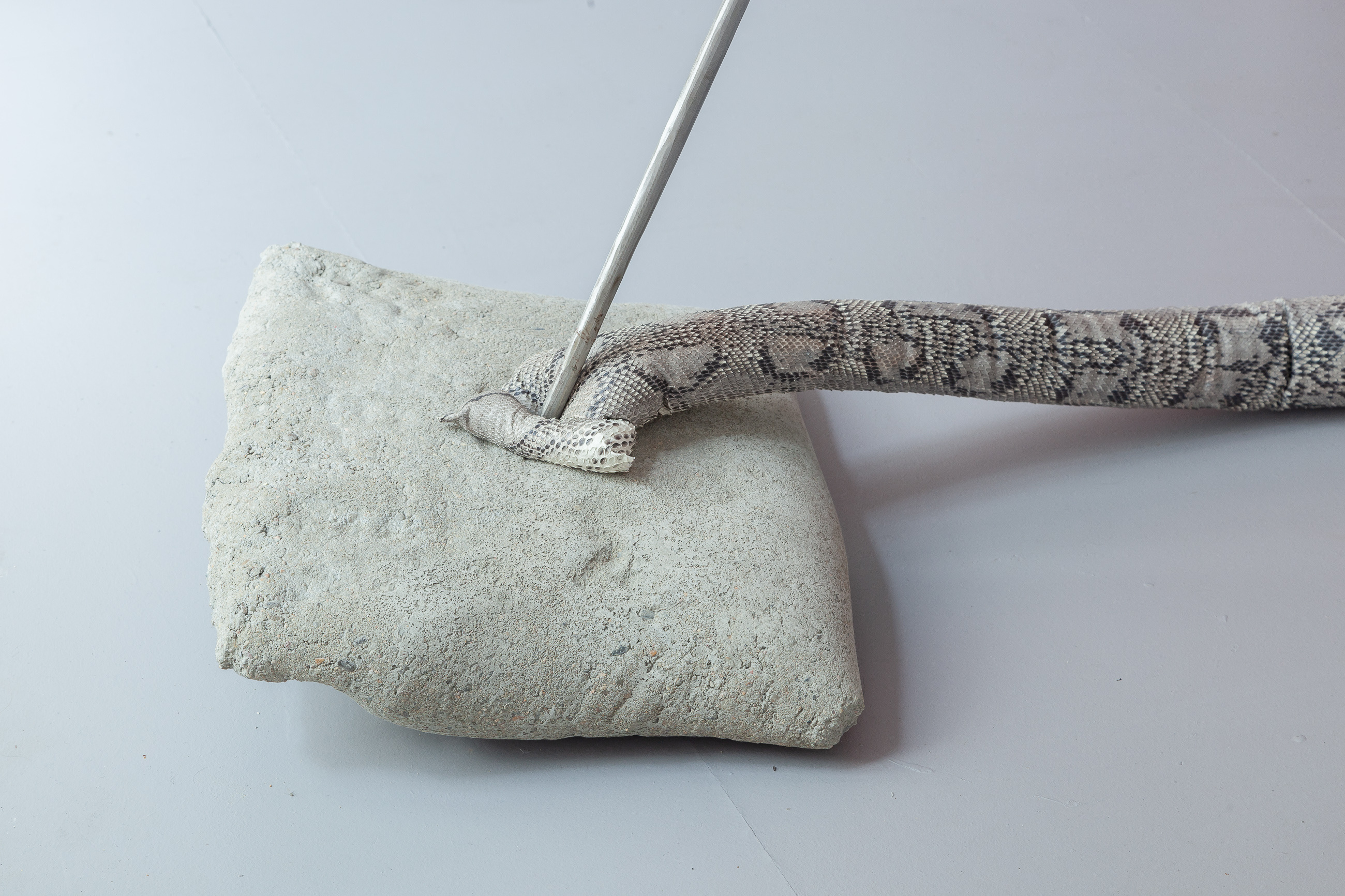 14 NicolÃ¡s Astorga, POSSIBLE ENEMIES, upcycled reassembled python skin, steel, concrete snake 3.5 mt / arrow 1.5 mt / pillow, 40 x 40 x 10 cm, 2021 (detail 01)
