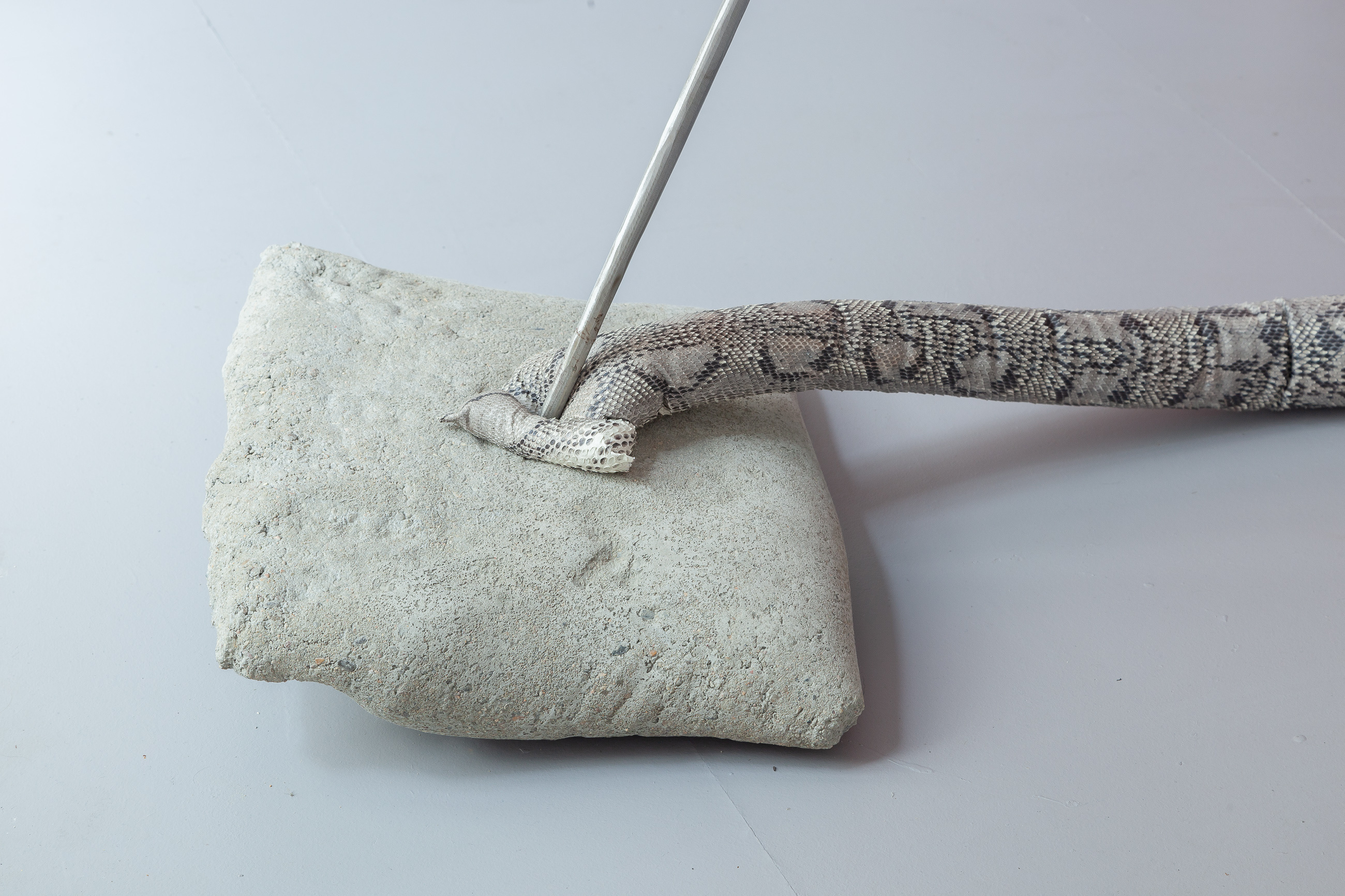 14 Nicolás Astorga, POSSIBLE ENEMIES, upcycled reassembled python skin, steel, concrete snake 3.5 mt / arrow 1.5 mt / pillow, 40 x 40 x 10 cm, 2021 (detail 01)