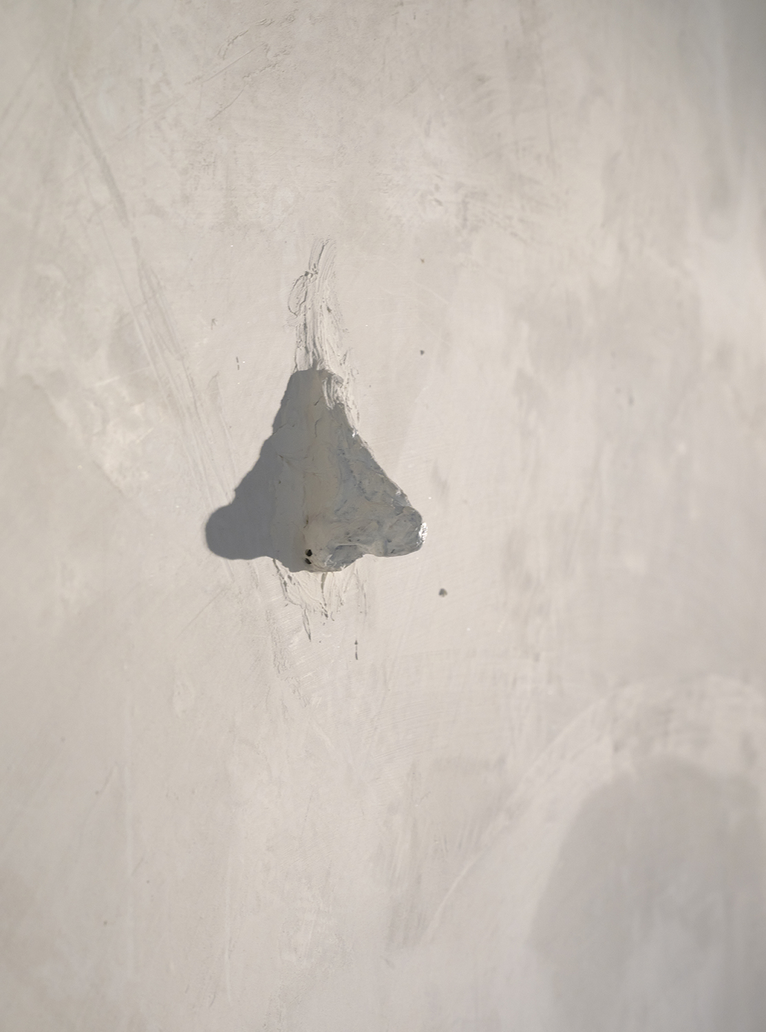 A nose is a nose is a nose, 2022. Close-up.