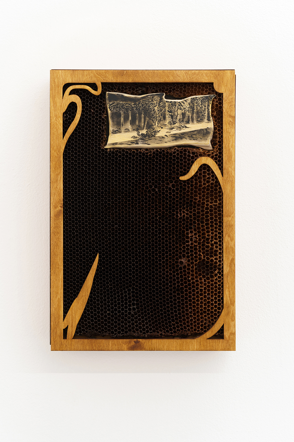  ‘Wild Rumor’, 2022, ink, linden, plywood, honeycombs, 38x25x6 cm