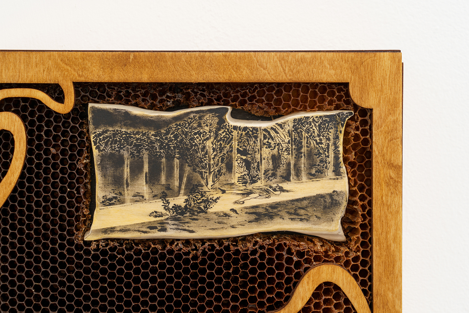 ‘Wild Rumor’, 2022, ink, linden, plywood, honeycombs, 38x25x6 cm (Details)