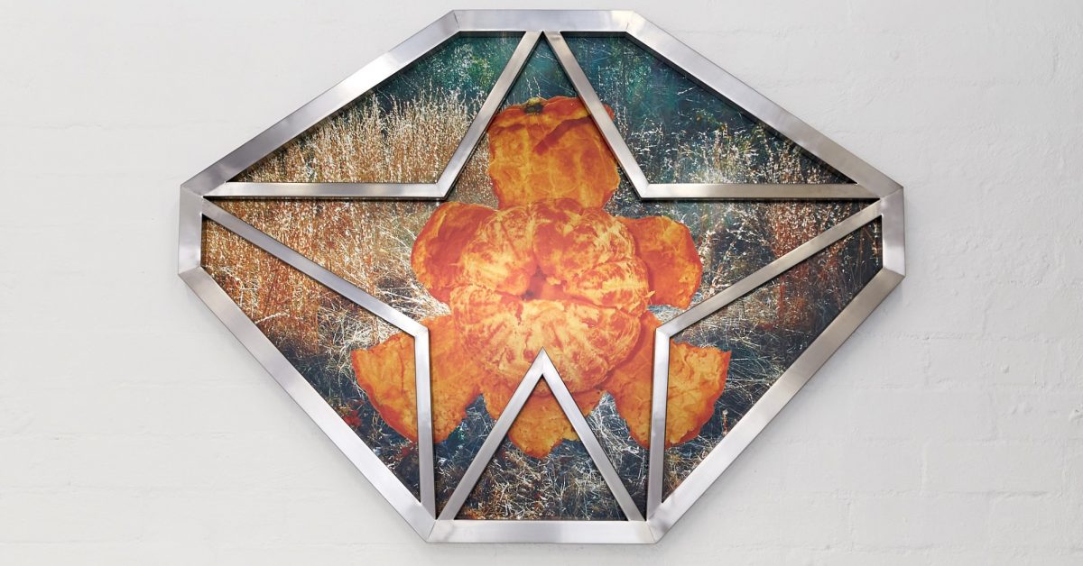 Extreme Mating of a Pugnacious Dreamer