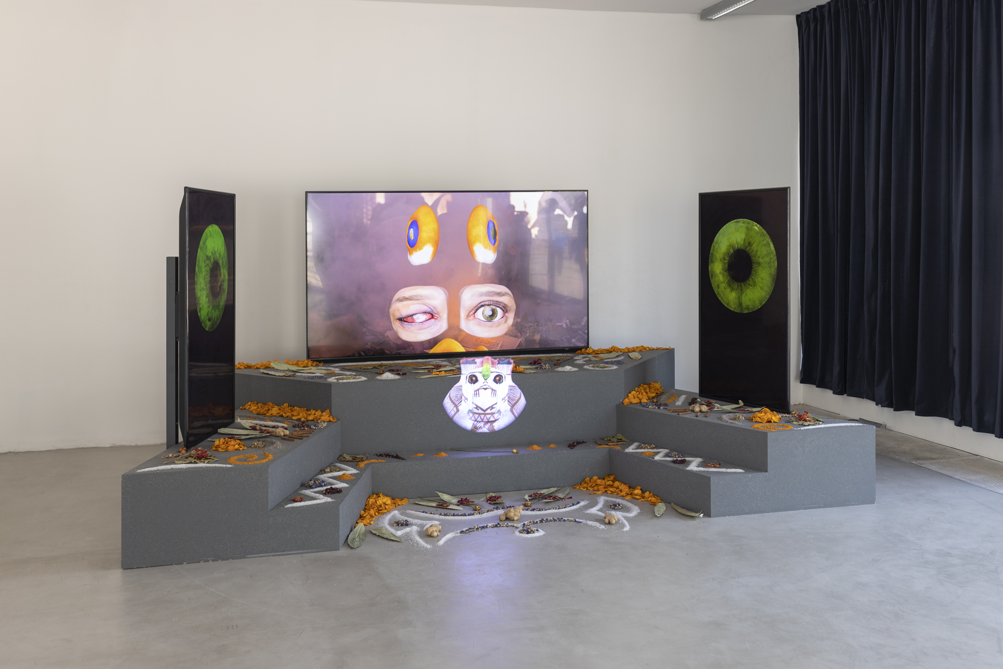 Patricia DomÃ­nguez Green Irises, 2019-2020 Madre Drone, 2019-2020â€¨(Commissioned and produced by Gasworks, with support from Lazo Cordillera, FundaciÃ³n Engel, FundaciÃ³n AMA, and SCAN.) 