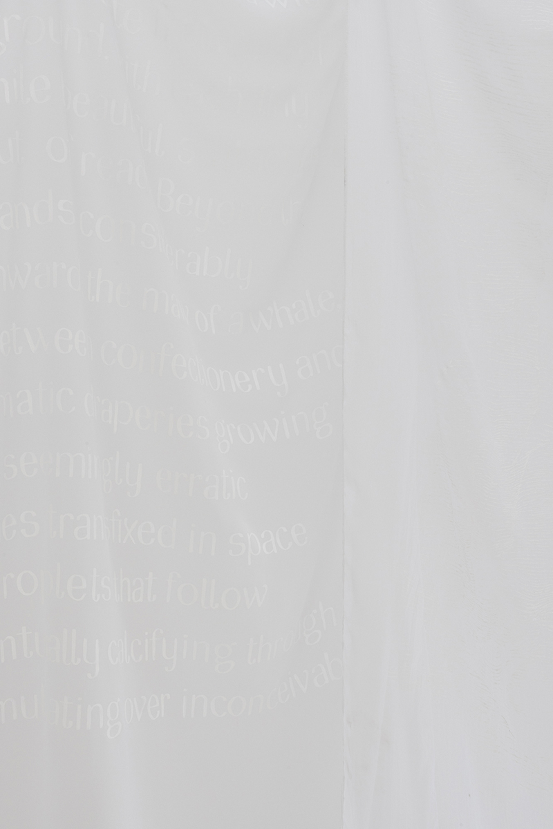 Xenia Fink, Cave, 2022 (detail) © nova space 2022